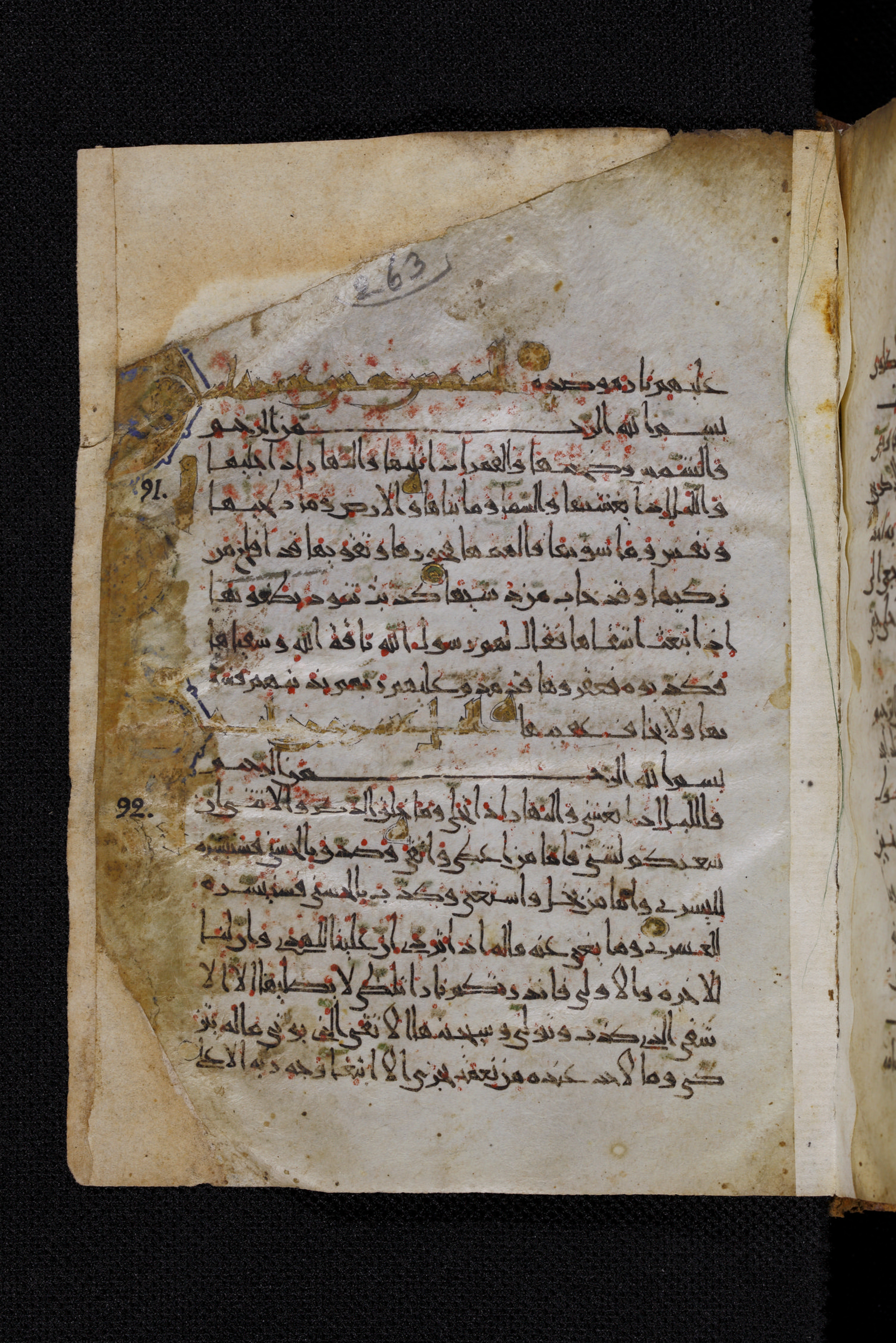 Diez A oct 172, in Transitional Maghrebi script, showing Surah 91:13 from Late 9th to Mid 11th Century AD found in Unknown, currently housed at Staatsbibliothek zu Berlin, Berlin, Germany