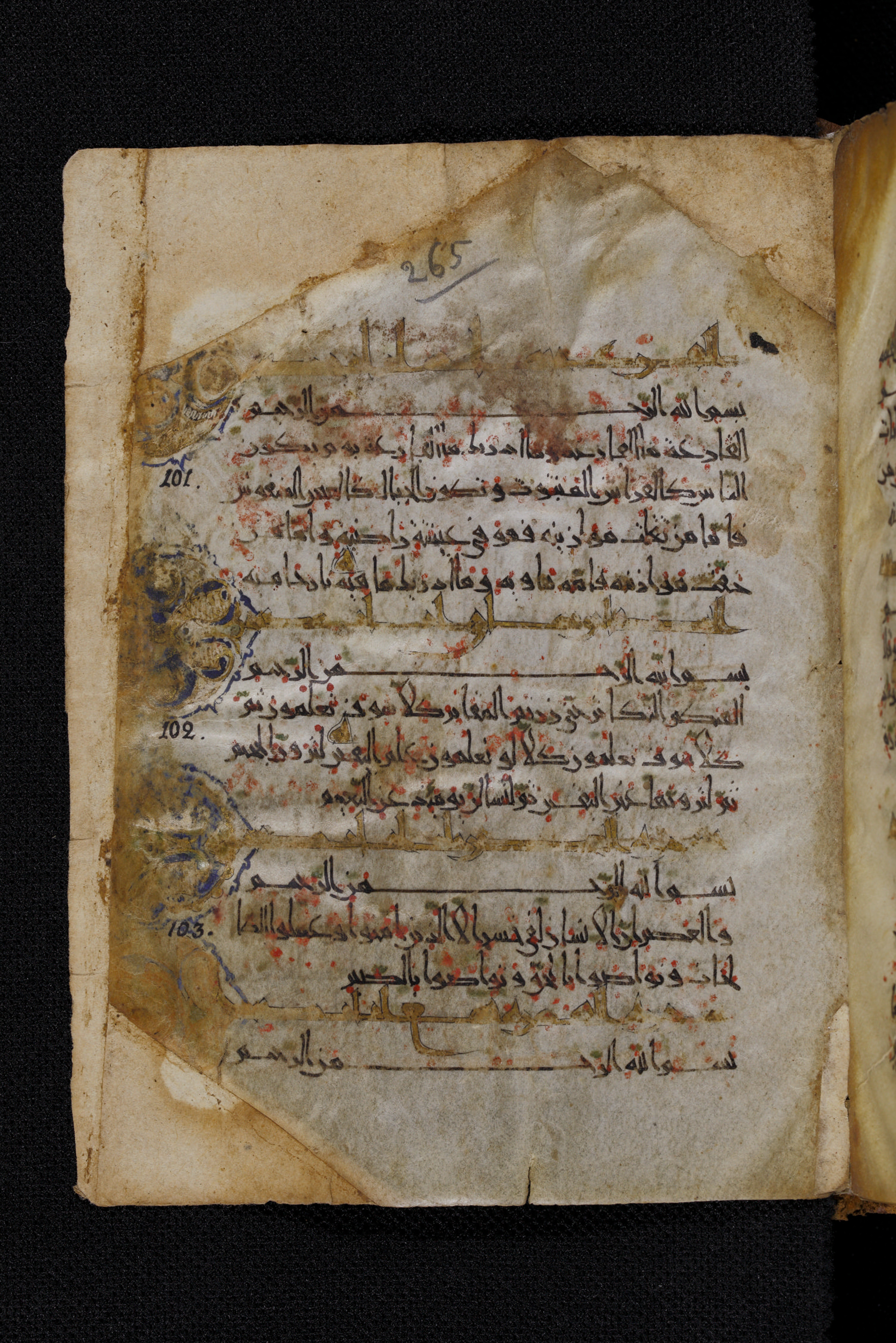 Diez A oct 172, in Transitional Maghrebi script, showing Surah 101:2 from Late 9th to Mid 11th Century AD found in Unknown, currently housed at Staatsbibliothek zu Berlin, Berlin, Germany