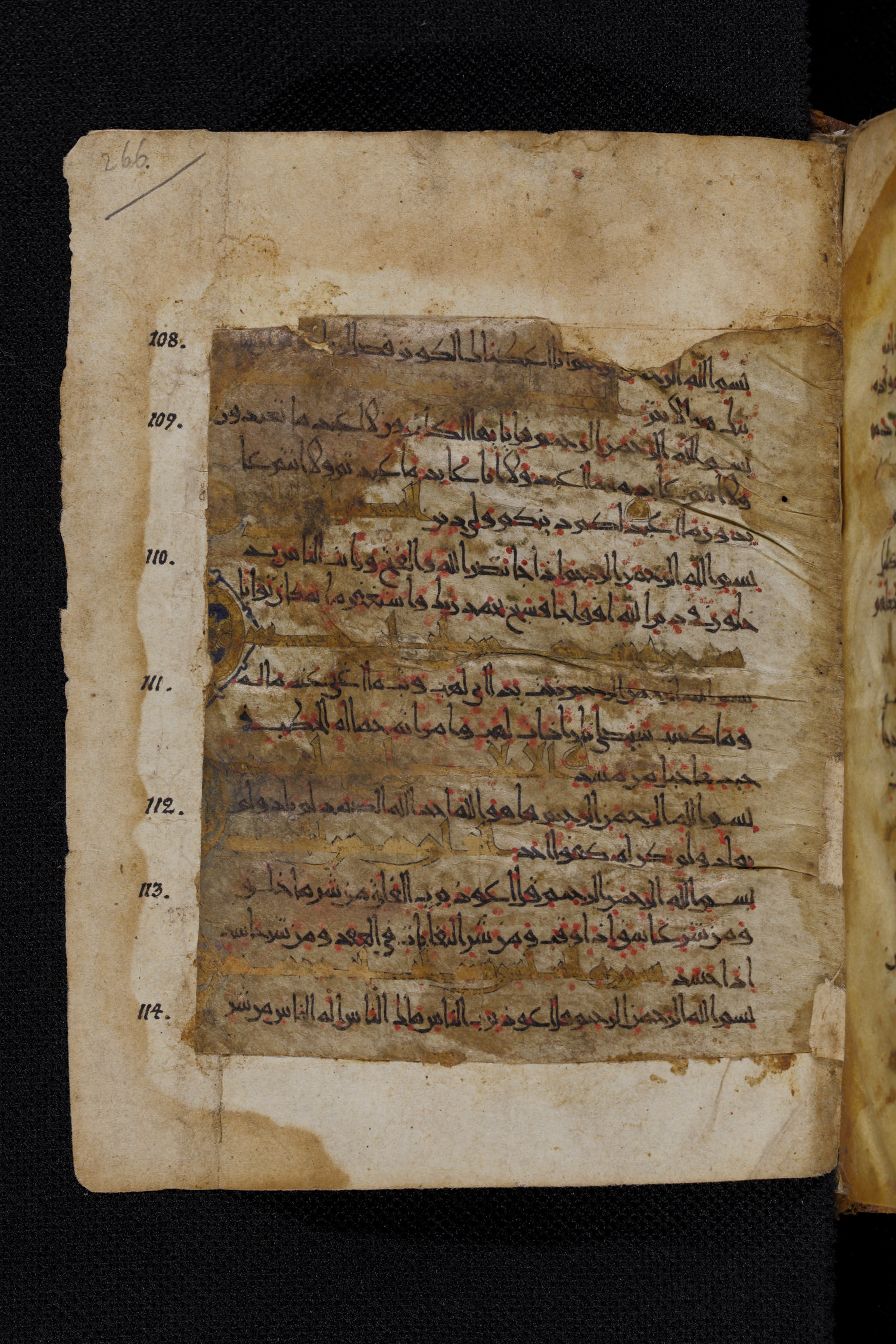 Diez A oct 172, in Transitional Maghrebi script, showing Surah 113:2 from Late 9th to Mid 11th Century AD found in Unknown, currently housed at Staatsbibliothek zu Berlin, Berlin, Germany