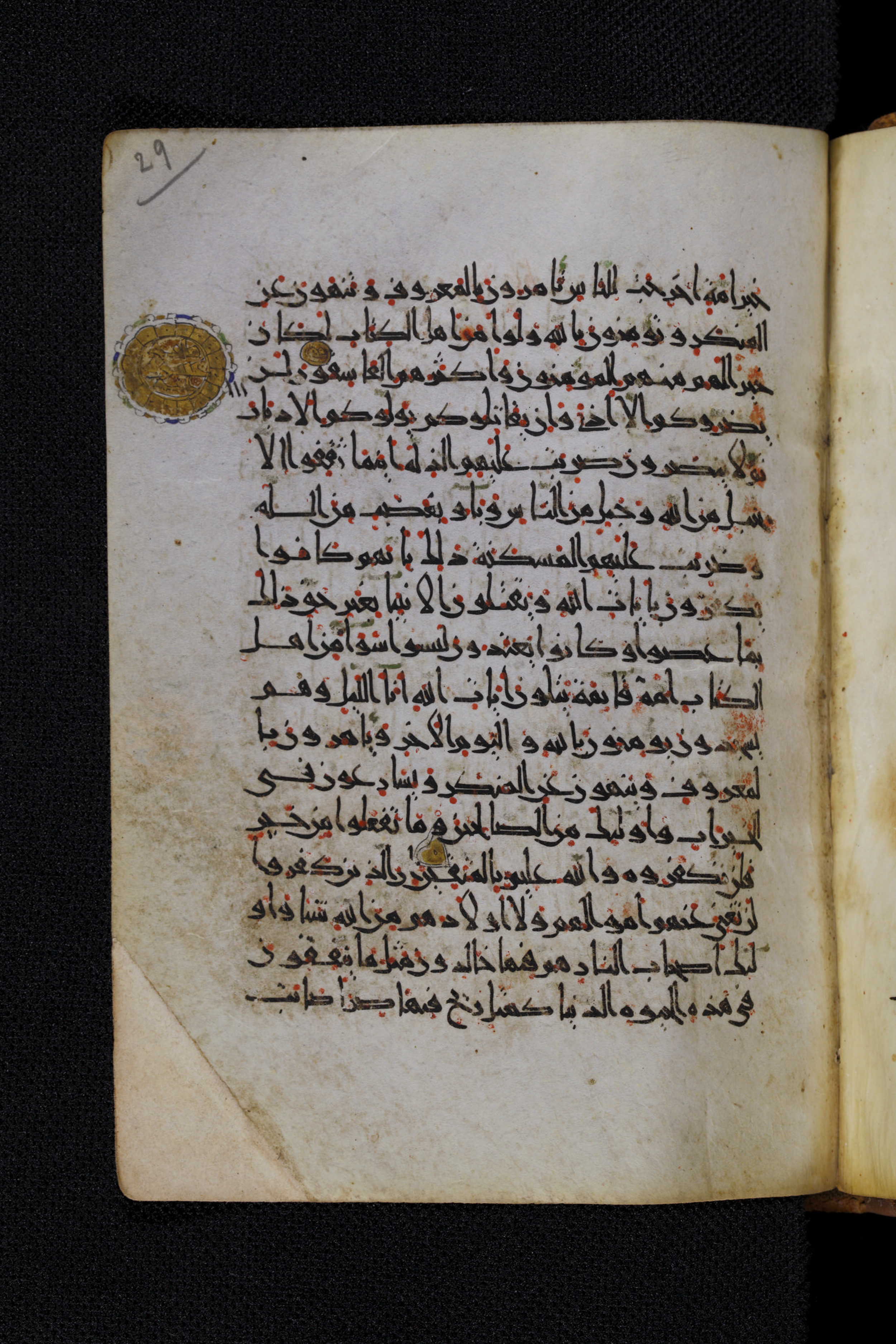 Diez A oct 172, in Transitional Maghrebi script, showing Surah 3:116 from Late 9th to Mid 11th Century AD found in Unknown, currently housed at Staatsbibliothek zu Berlin, Berlin, Germany
