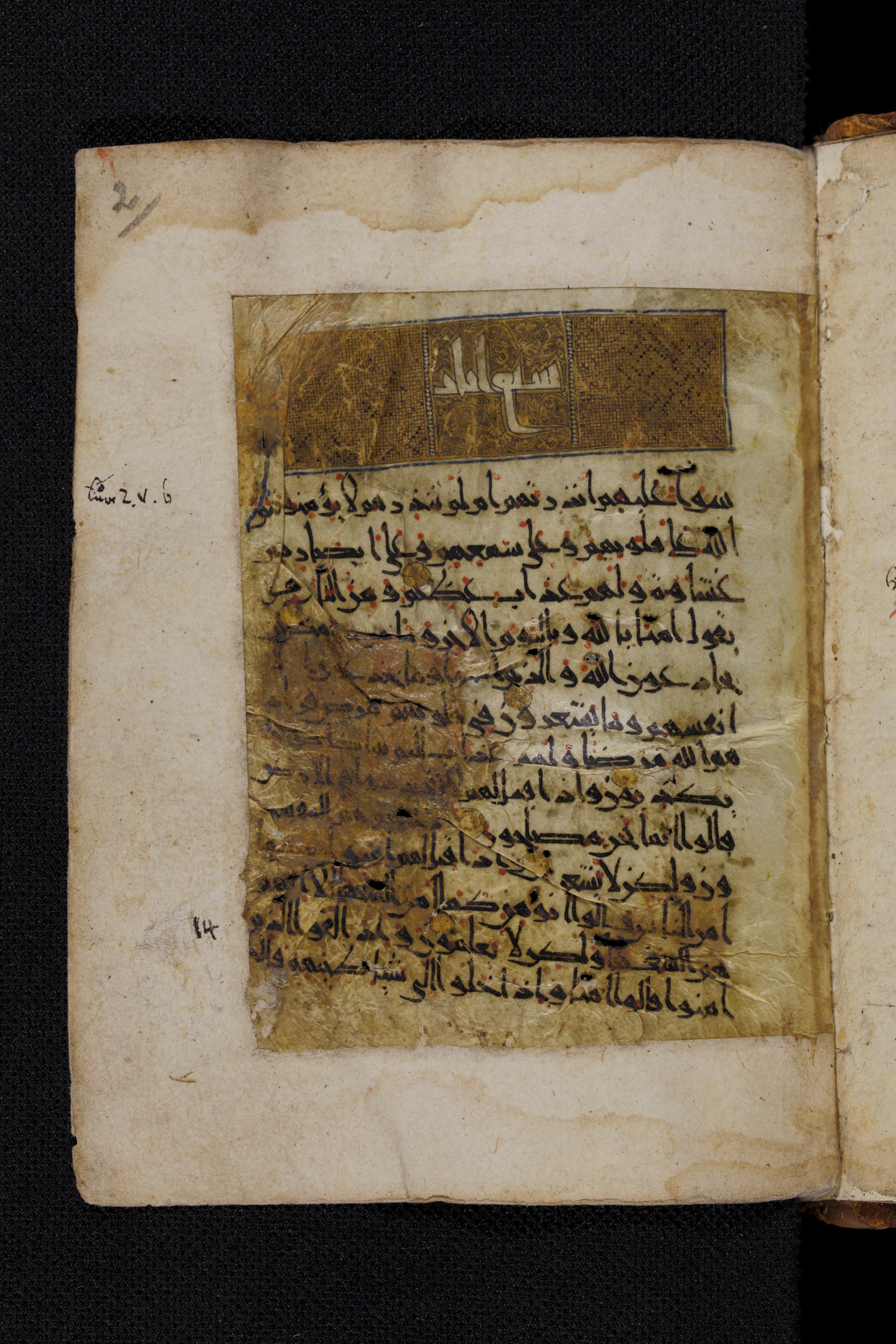 Diez A oct 172, in Transitional Maghrebi script, showing Surah 2:13 from Late 9th to Mid 11th Century AD found in Unknown, currently housed at Staatsbibliothek zu Berlin, Berlin, Germany