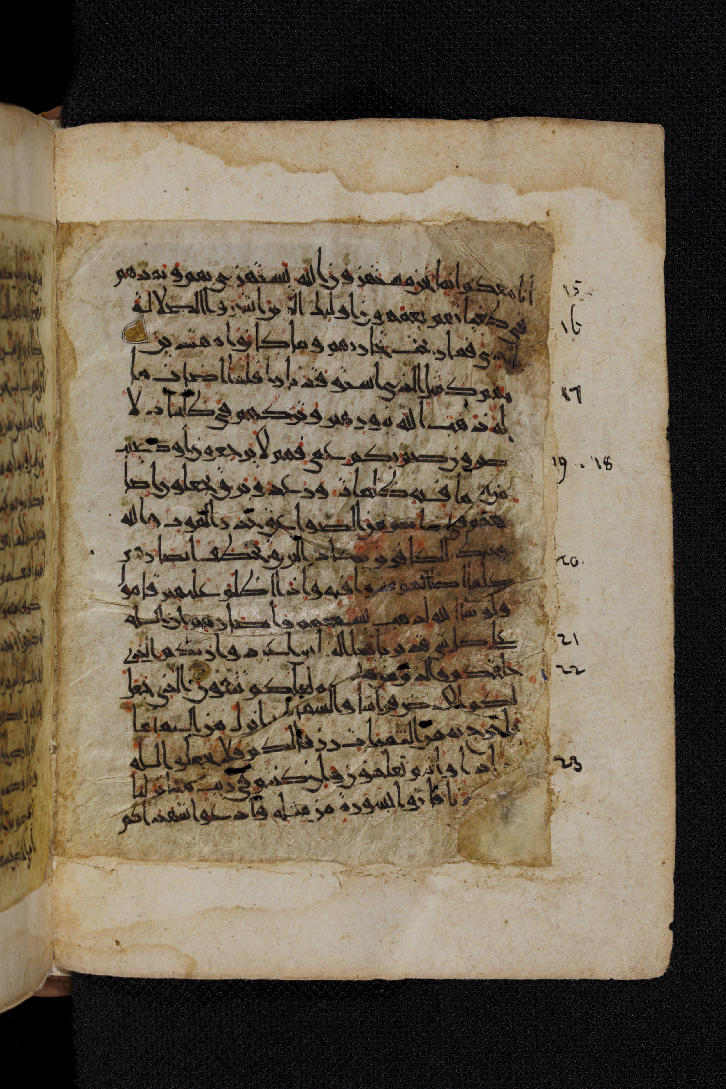 Diez A oct 172, in Transitional Maghrebi script, showing Surah 2:22 from Late 9th to Mid 11th Century AD found in Unknown, currently housed at Staatsbibliothek zu Berlin, Berlin, Germany