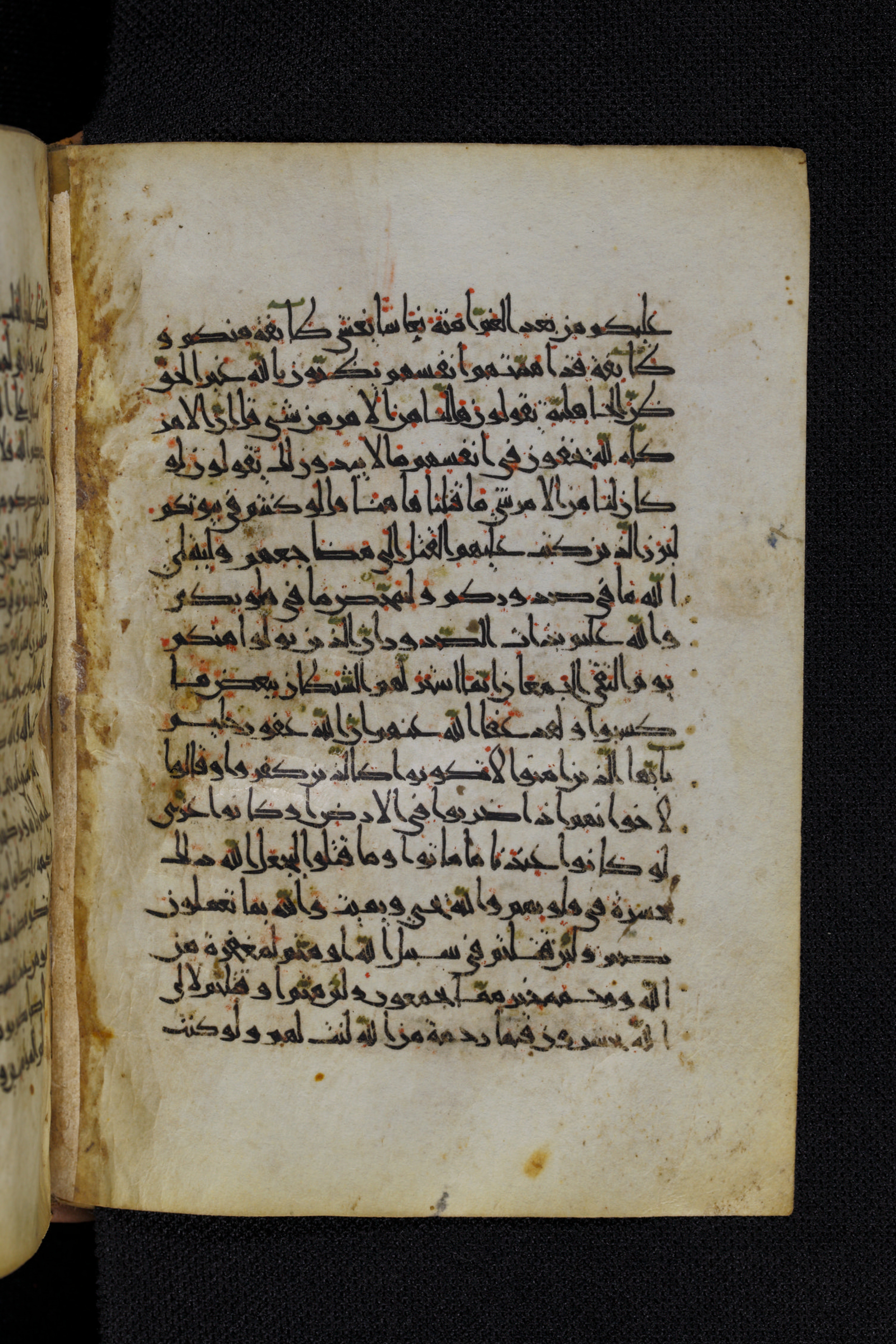 Diez A oct 172 (Scan 2), in Transitional Maghrebi script, showing Surah 3:154 from Late 9th to Mid 11th Century AD found in Unknown, currently housed at Staatsbibliothek zu Berlin, Berlin, Germany