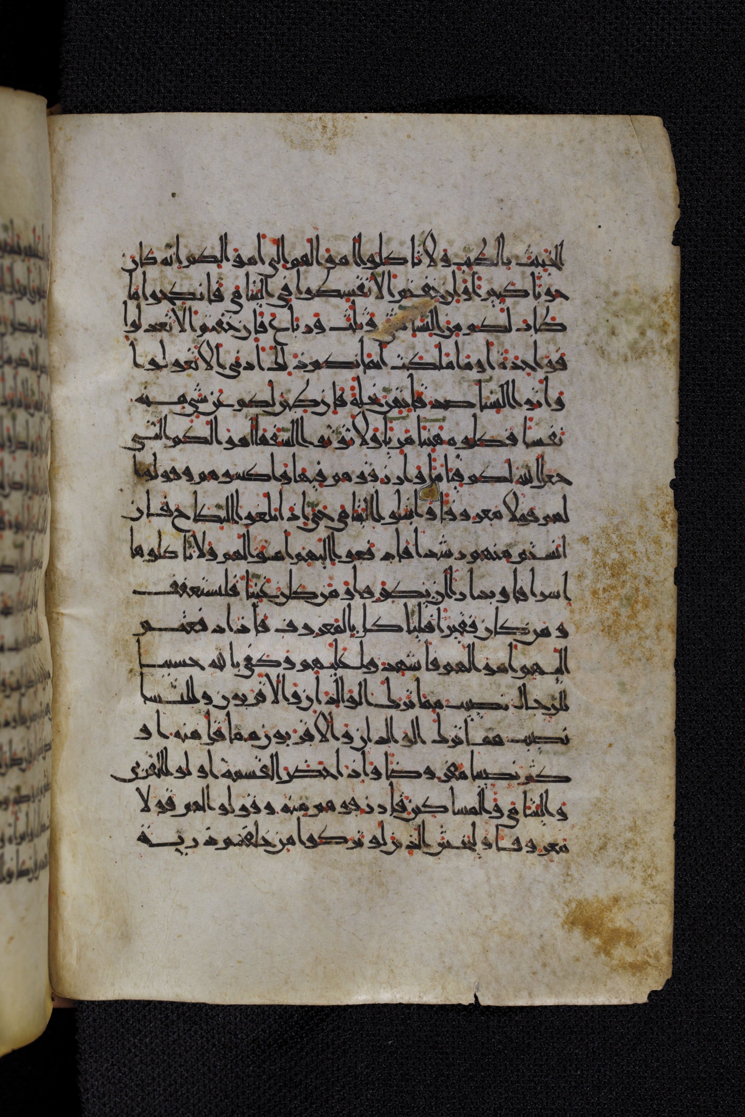 Diez A oct 172, in Transitional Maghrebi script, showing Surah 4:7 from Late 9th to Mid 11th Century AD found in Unknown, currently housed at Staatsbibliothek zu Berlin, Berlin, Germany