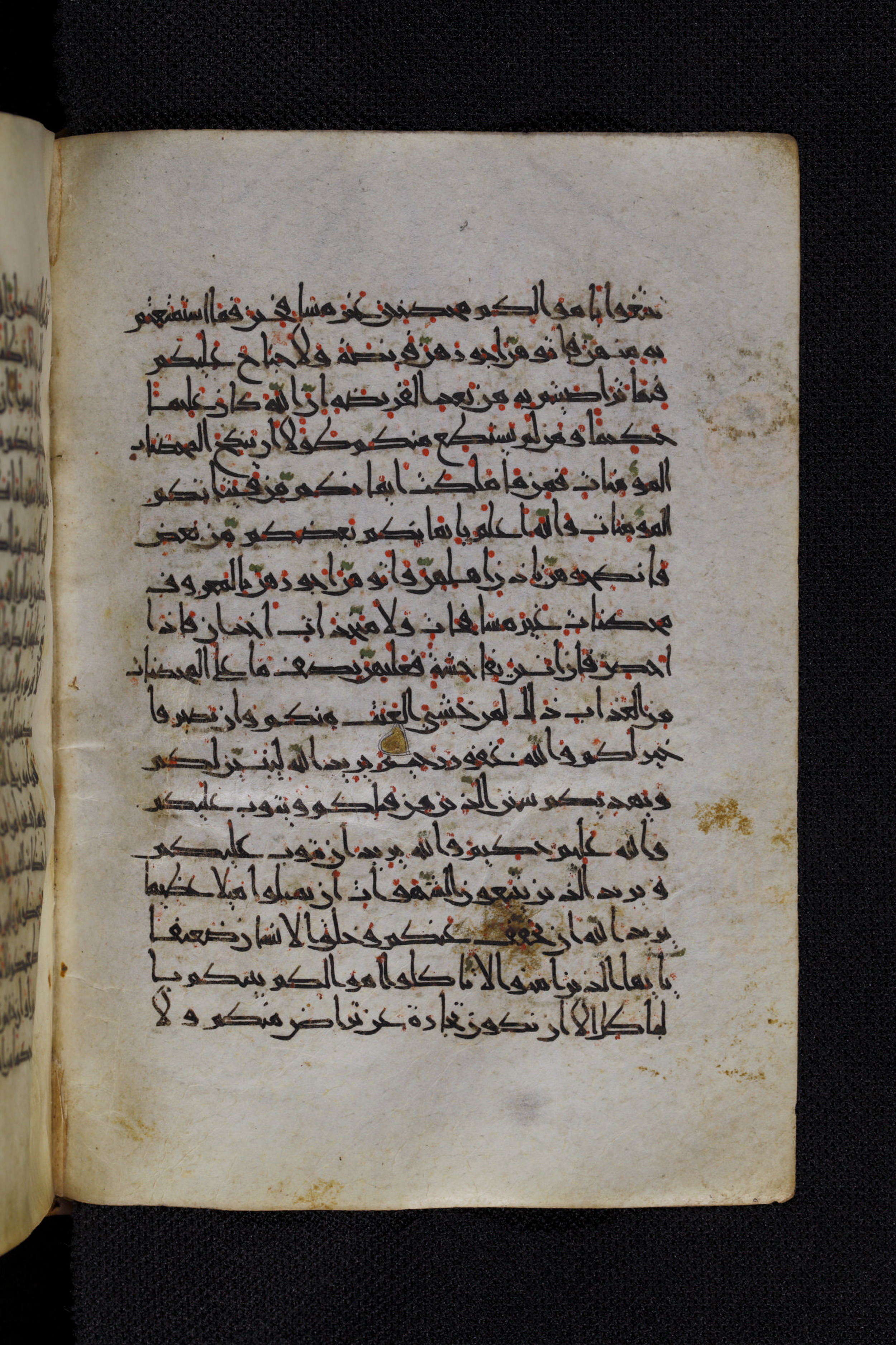 Diez A oct 172 (Scan 1), in Transitional Maghrebi script, showing Surah 4:29 from Late 9th to Mid 11th Century AD found in Unknown, currently housed at Staatsbibliothek zu Berlin, Berlin, Germany