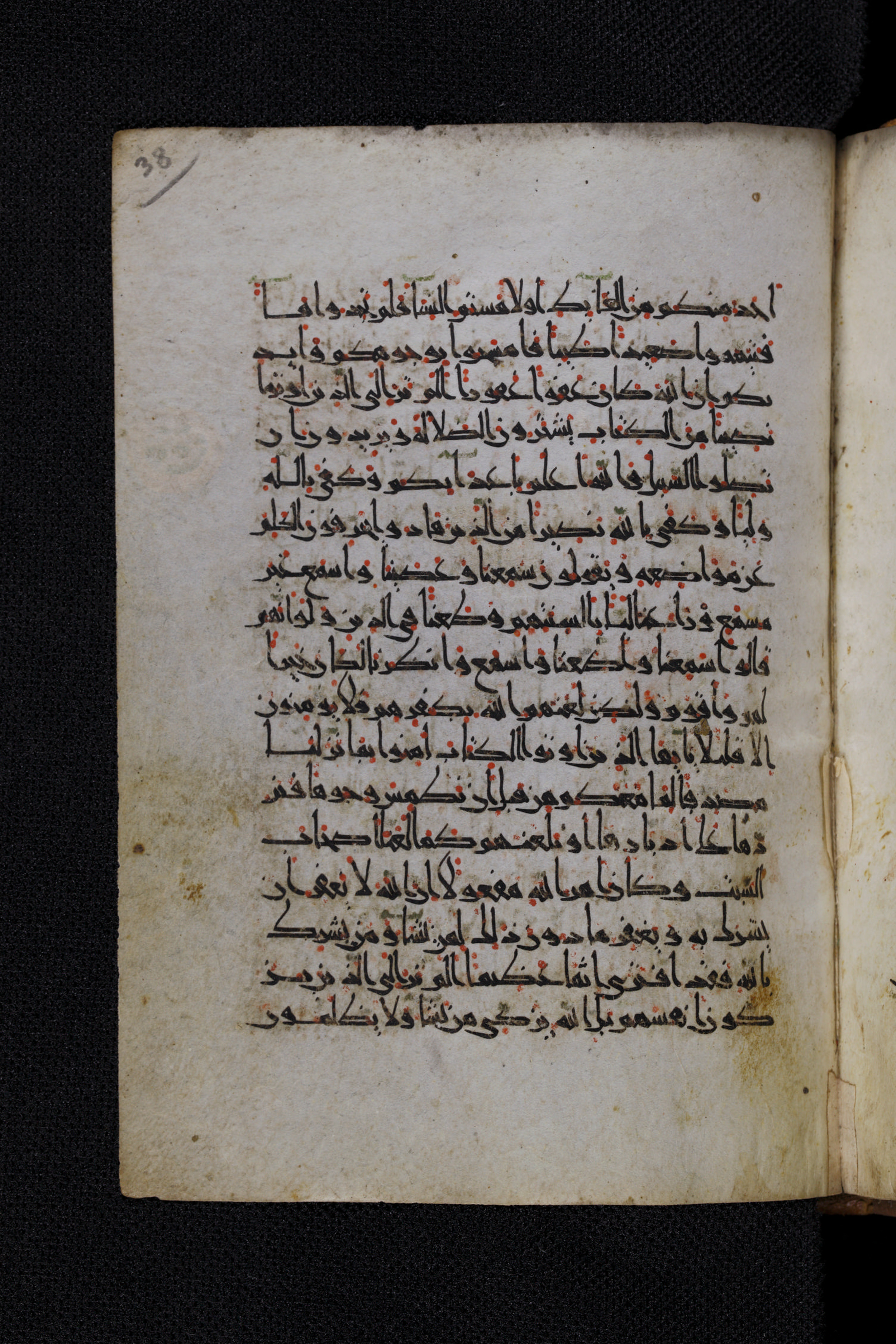 Diez A oct 172 (Scan 1), in Transitional Maghrebi script, showing Surah 4:49 from Late 9th to Mid 11th Century AD found in Unknown, currently housed at Staatsbibliothek zu Berlin, Berlin, Germany