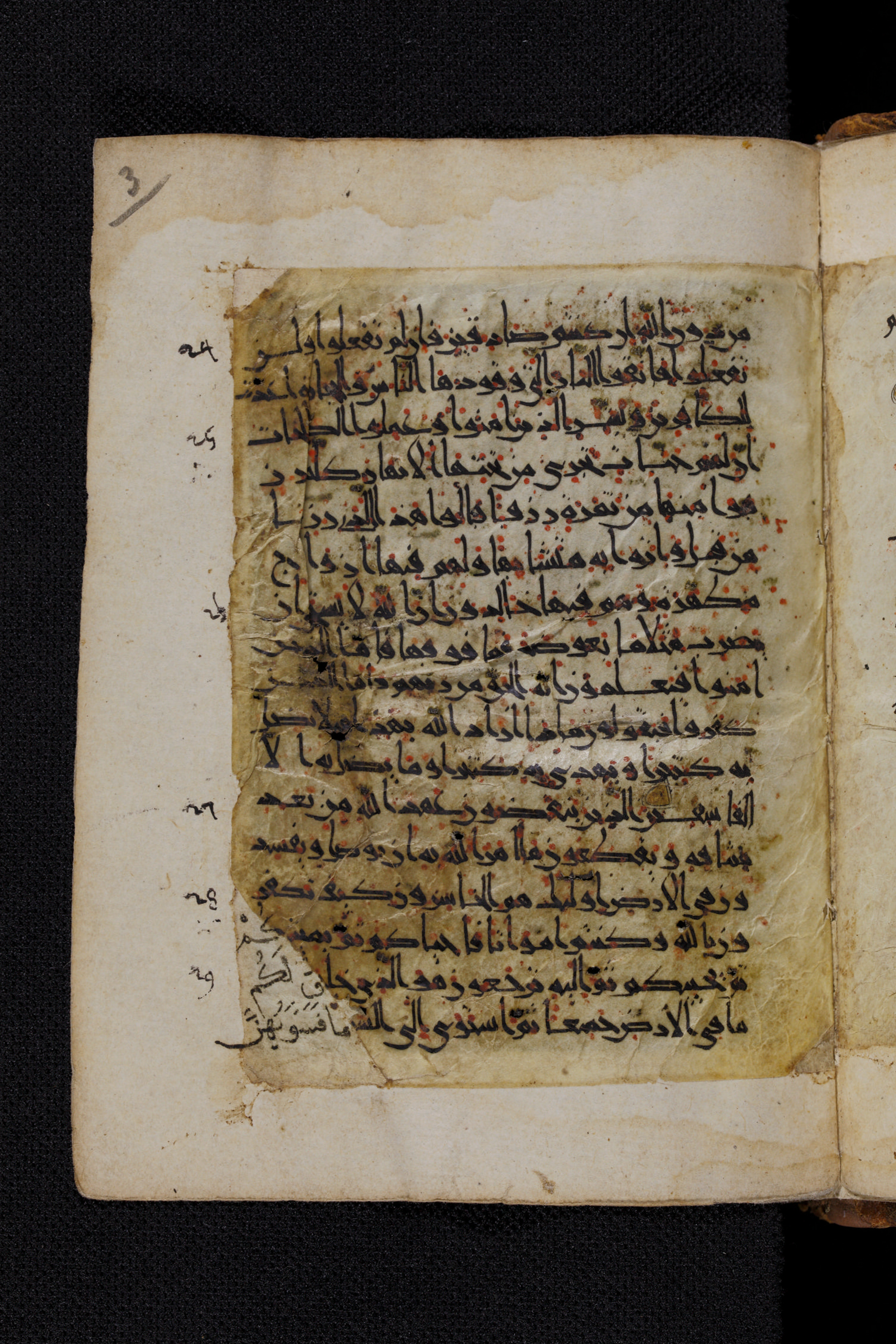 Diez A oct 172, in Transitional Maghrebi script, showing Surah 2:28 from Late 9th to Mid 11th Century AD found in Unknown, currently housed at Staatsbibliothek zu Berlin, Berlin, Germany