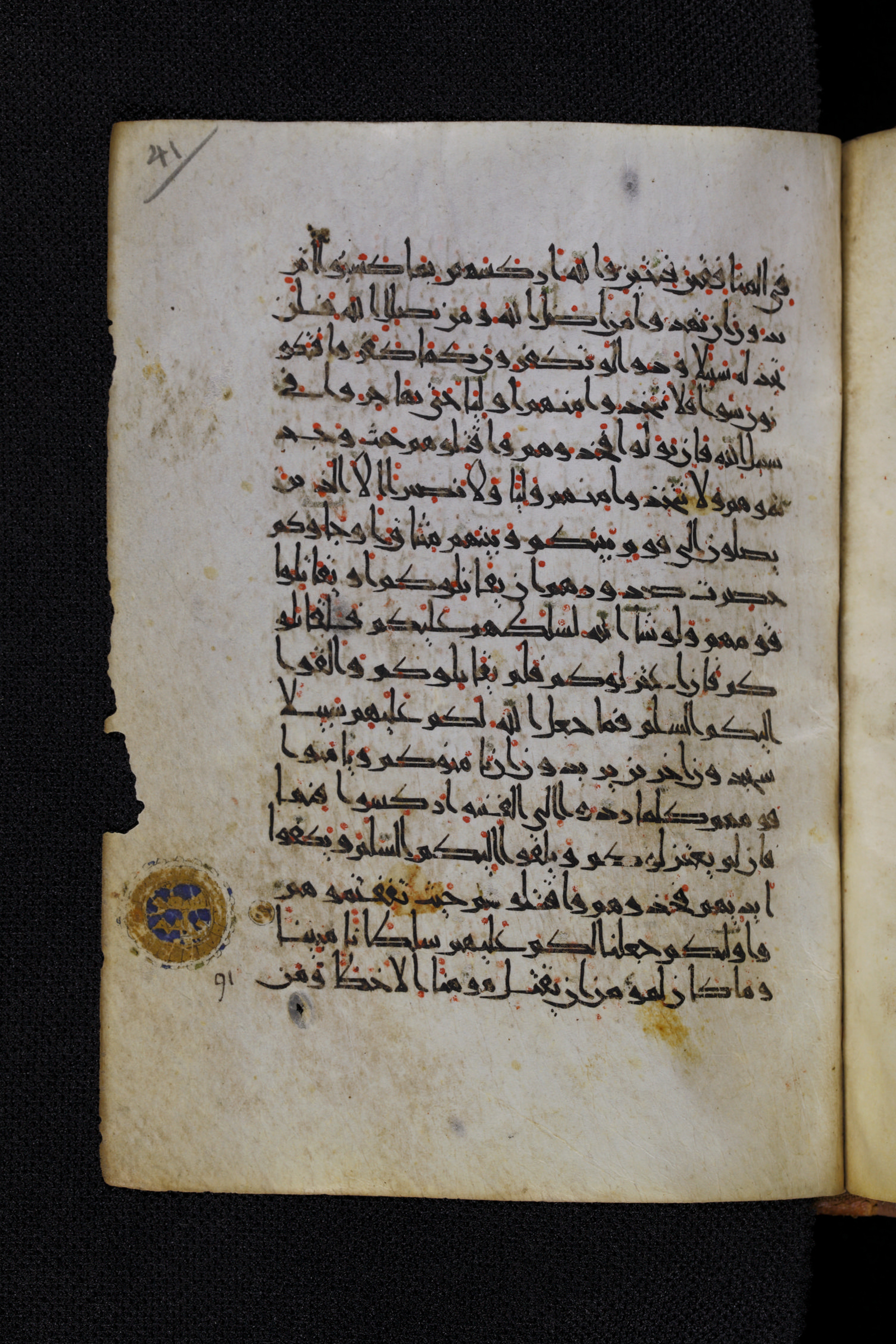 Diez A oct 172, in Transitional Maghrebi script, showing Surah 4:89 from Late 9th to Mid 11th Century AD found in Unknown, currently housed at Staatsbibliothek zu Berlin, Berlin, Germany