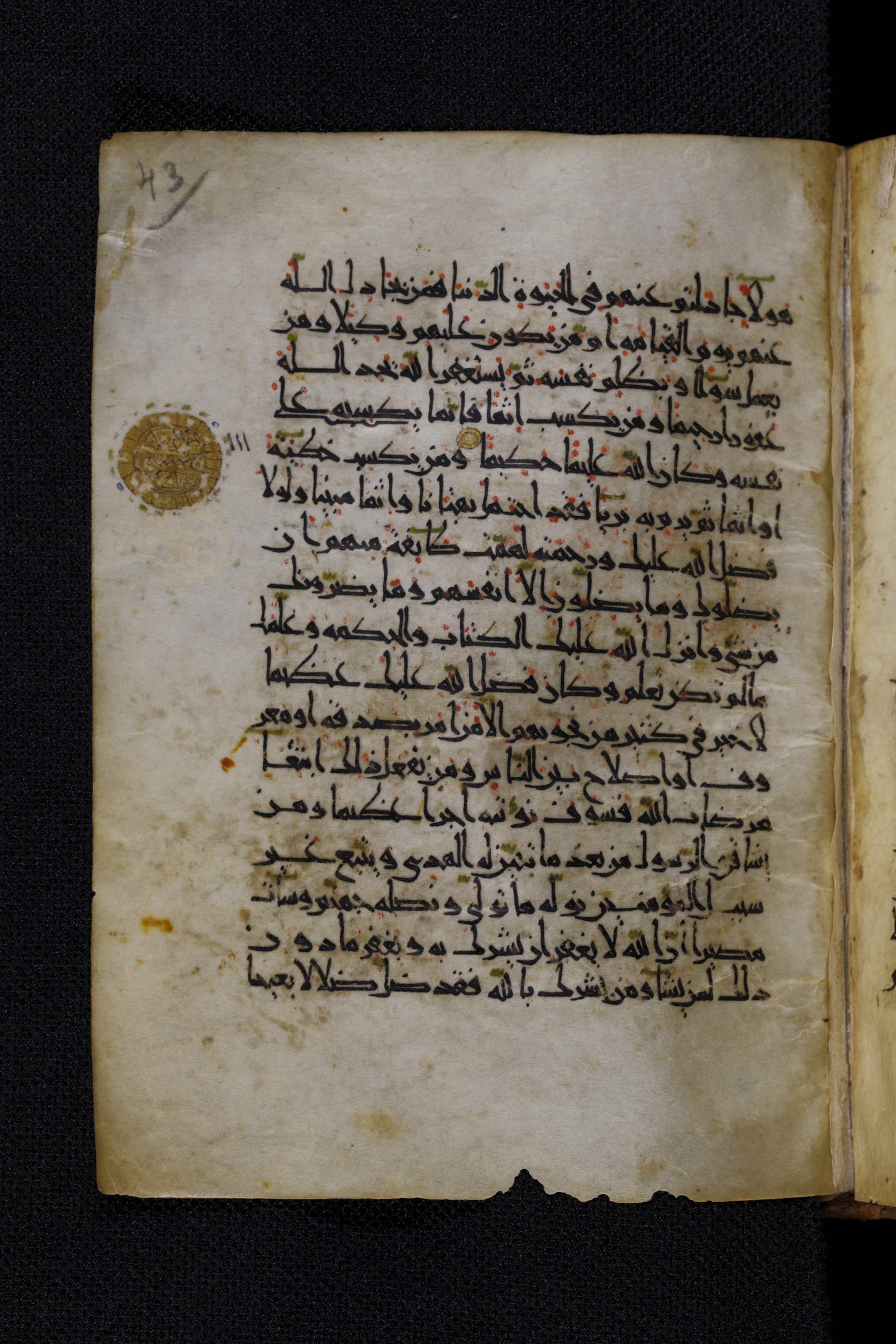 Diez A oct 172, in Transitional Maghrebi script, showing Surah 4:116 from Late 9th to Mid 11th Century AD found in Unknown, currently housed at Staatsbibliothek zu Berlin, Berlin, Germany