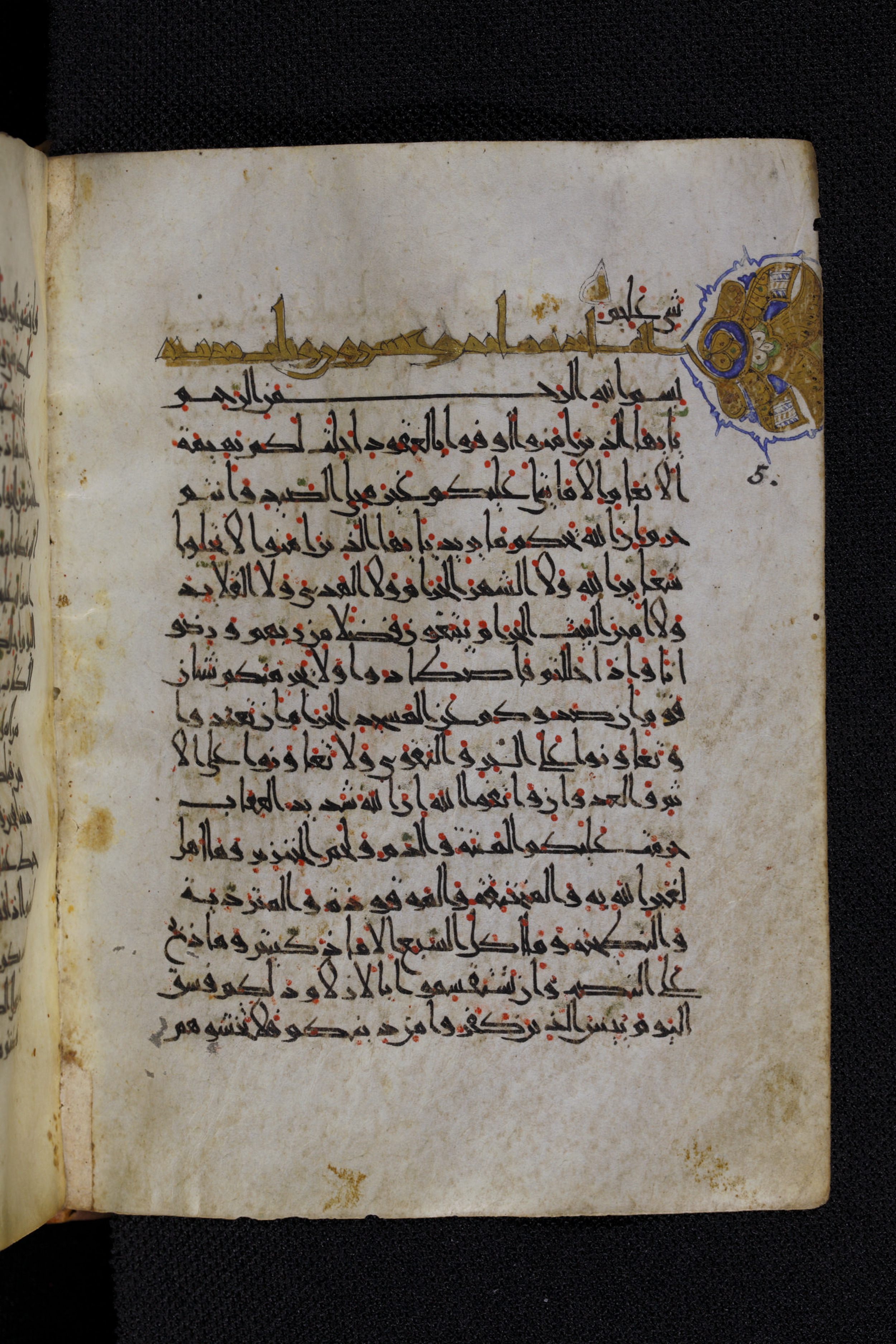 Diez A oct 172, in Transitional Maghrebi script, showing Surah 5:2 from Late 9th to Mid 11th Century AD found in Unknown, currently housed at Staatsbibliothek zu Berlin, Berlin, Germany