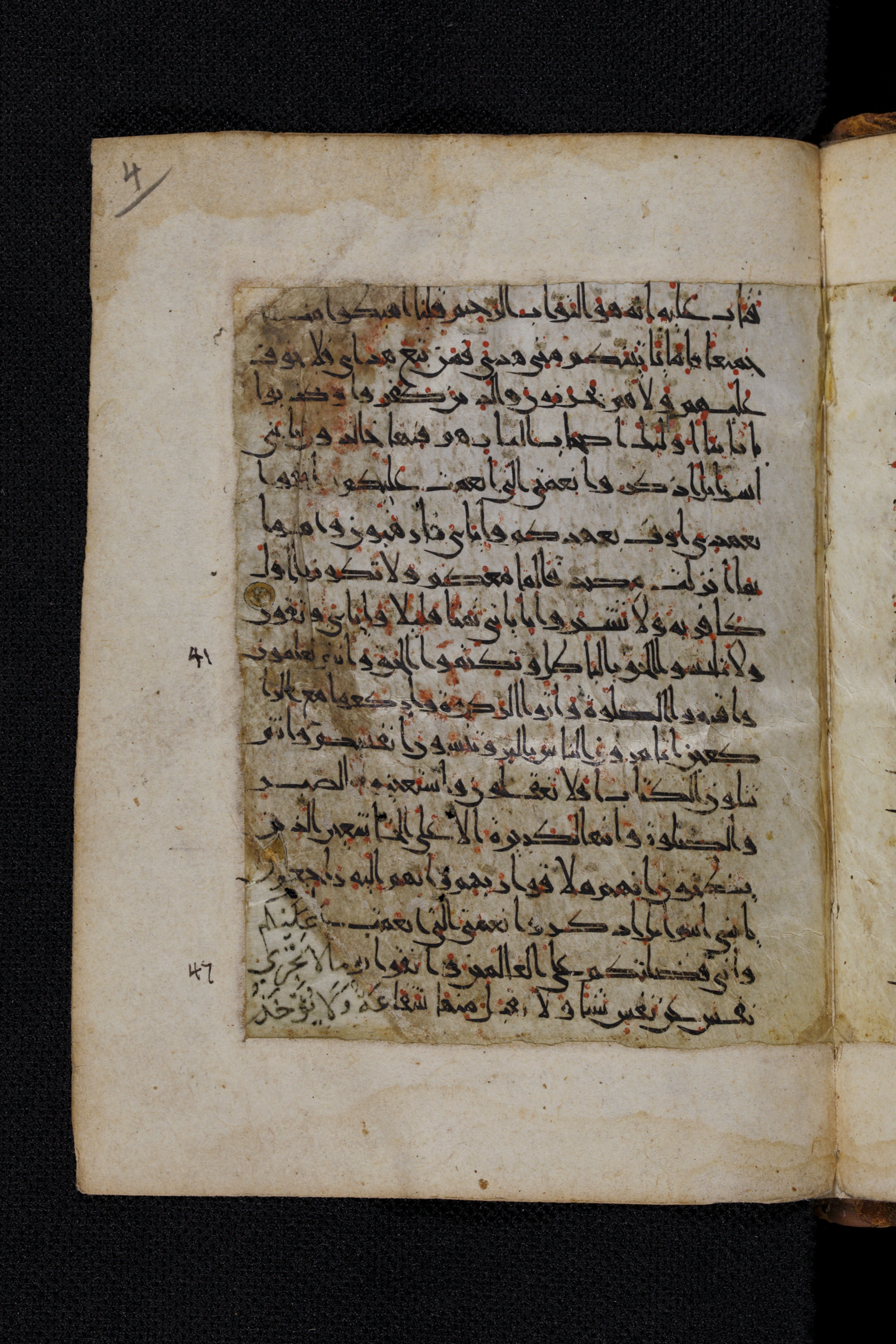 Diez A oct 172, in Transitional Maghrebi script, showing Surah 2:44 from Late 9th to Mid 11th Century AD found in Unknown, currently housed at Staatsbibliothek zu Berlin, Berlin, Germany