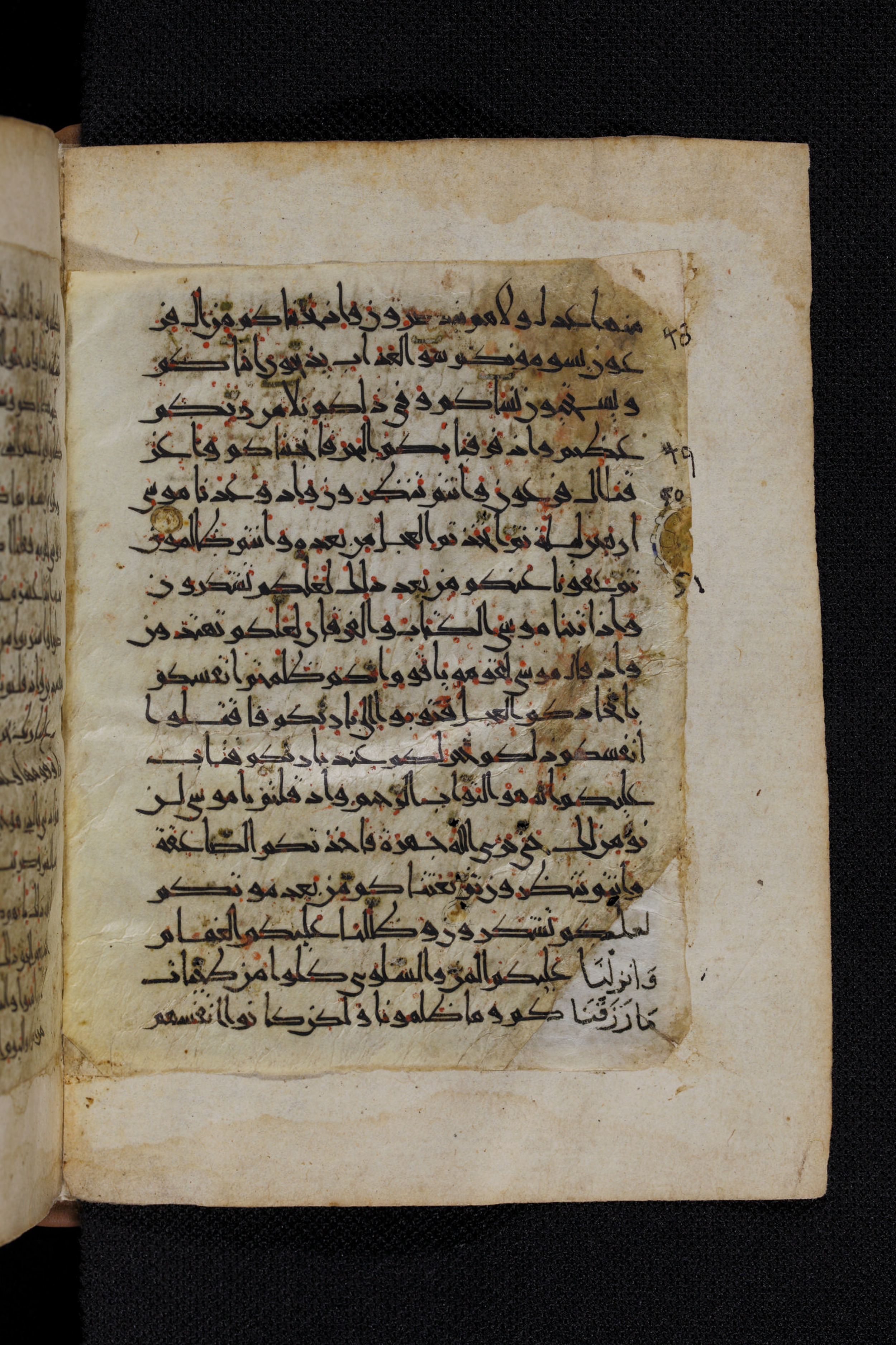 Diez A oct 172, in Transitional Maghrebi script, showing Surah 2:49 from Late 9th to Mid 11th Century AD found in Unknown, currently housed at Staatsbibliothek zu Berlin, Berlin, Germany