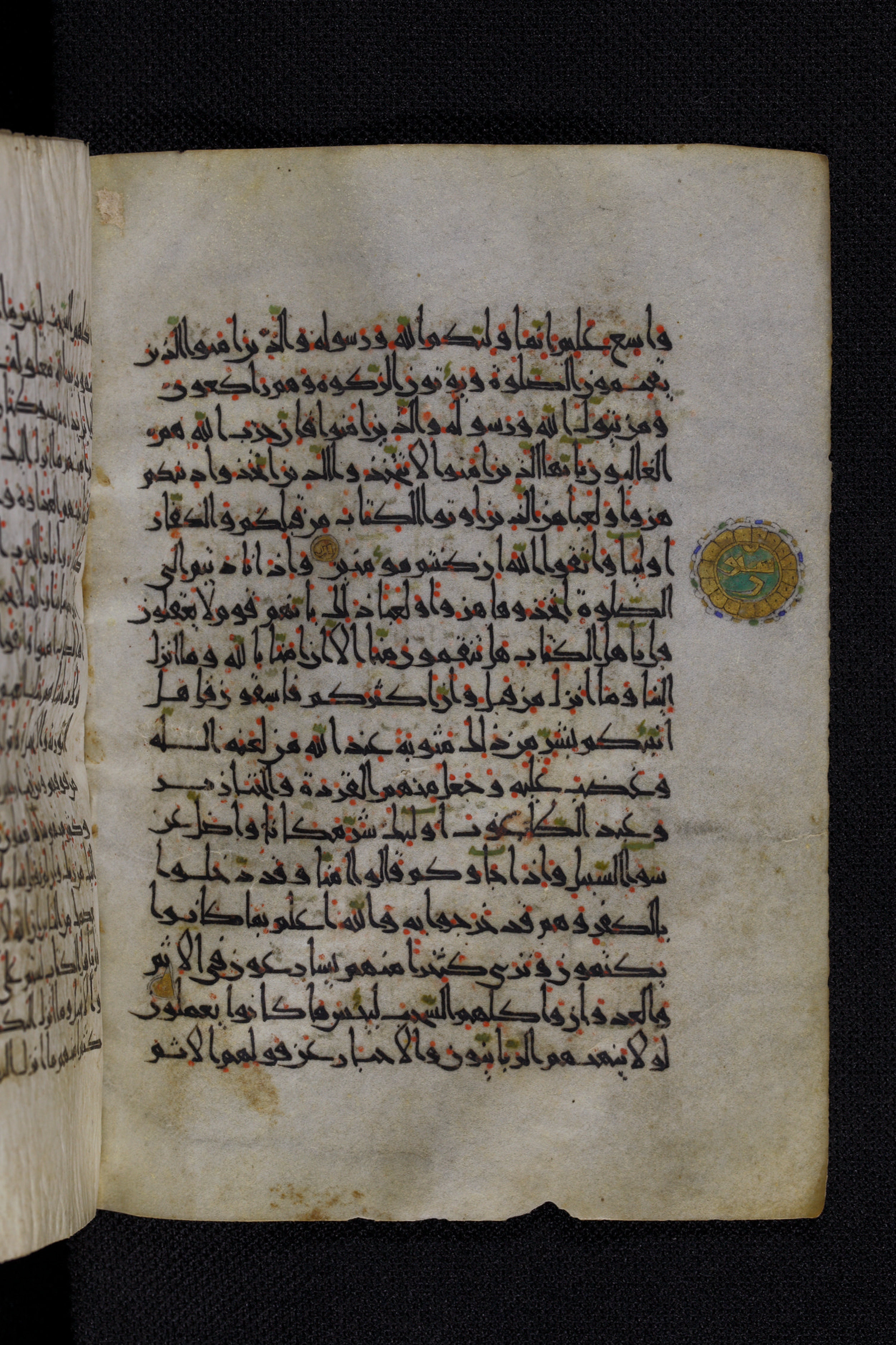 Diez A oct 172, in Transitional Maghrebi script, showing Surah 5:56 from Late 9th to Mid 11th Century AD found in Unknown, currently housed at Staatsbibliothek zu Berlin, Berlin, Germany