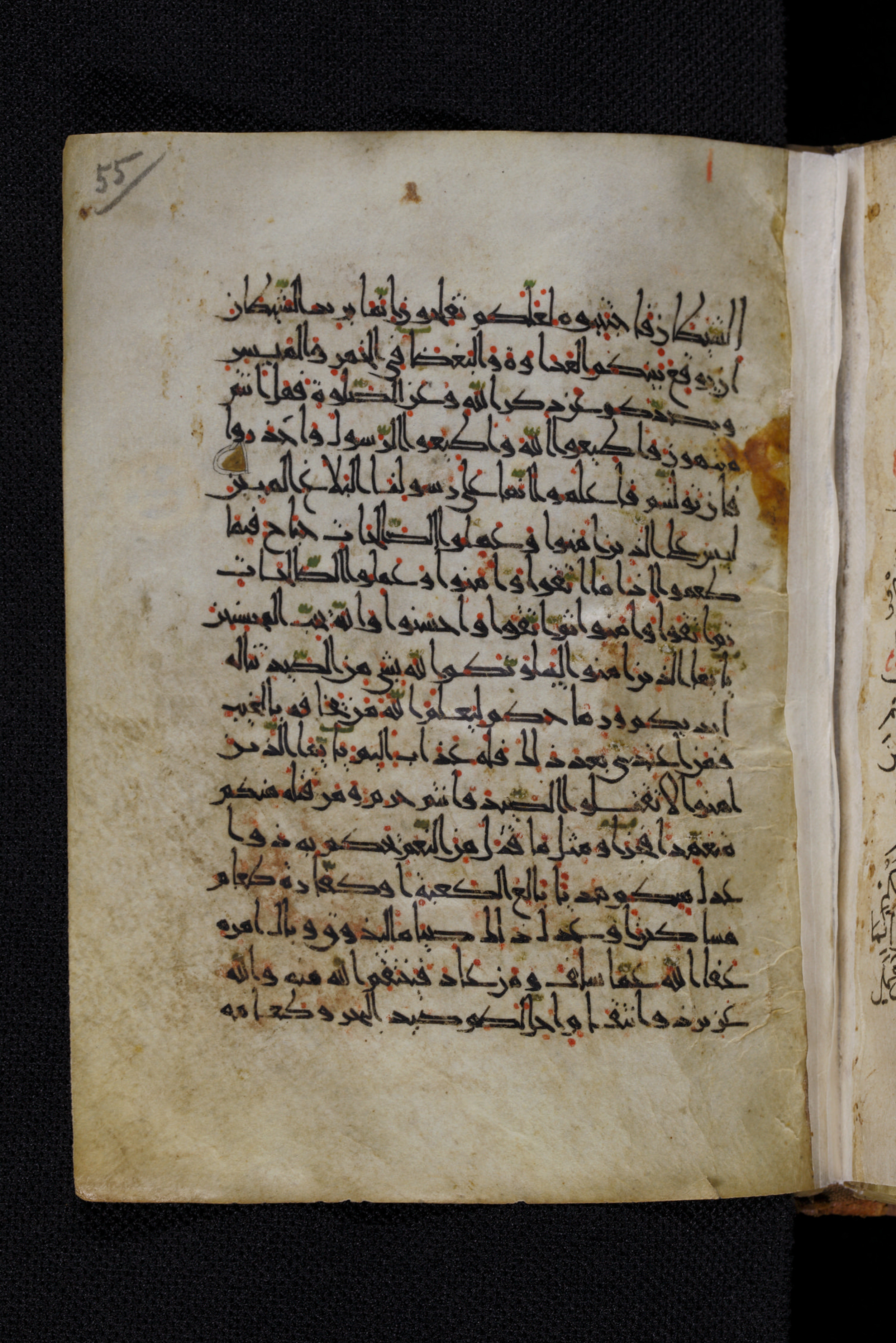 Diez A oct 172 (Scan 2), in Transitional Maghrebi script, showing Surah 5:90 from Late 9th to Mid 11th Century AD found in Unknown, currently housed at Staatsbibliothek zu Berlin, Berlin, Germany