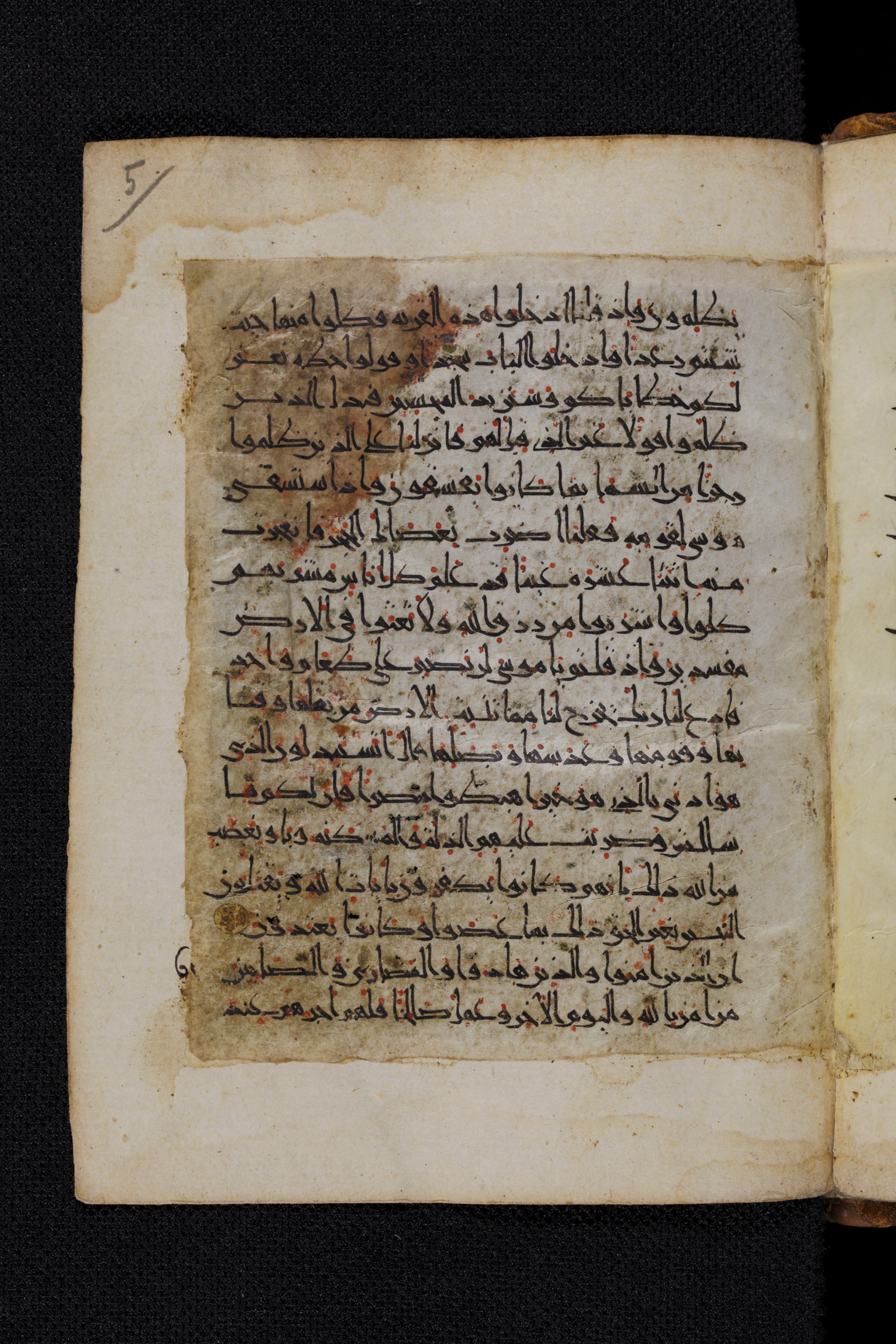 Diez A oct 172, in Transitional Maghrebi script, showing Surah 2:60 from Late 9th to Mid 11th Century AD found in Unknown, currently housed at Staatsbibliothek zu Berlin, Berlin, Germany