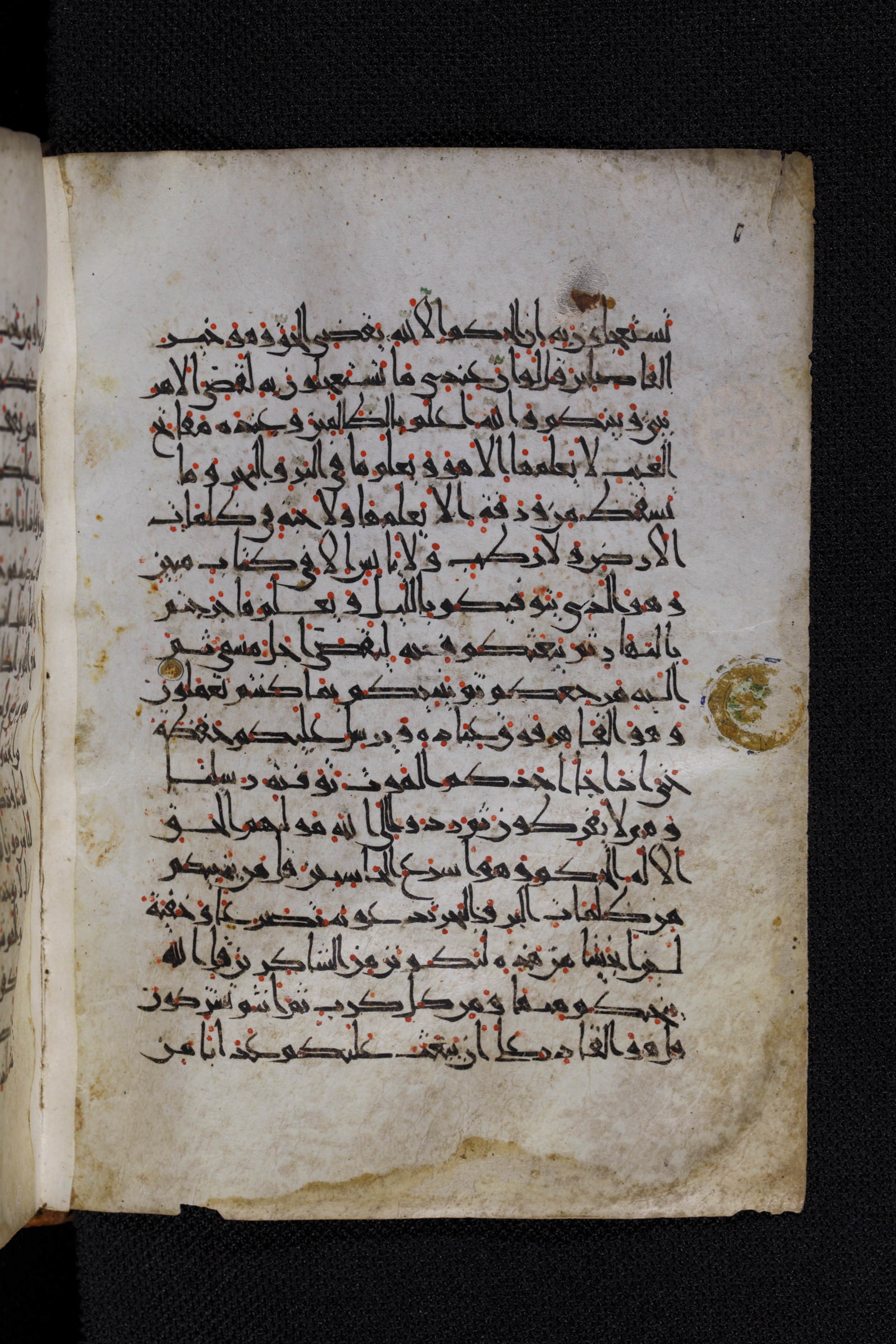 Diez A oct 172, in Transitional Maghrebi script, showing Surah 6:63 from Late 9th to Mid 11th Century AD found in Unknown, currently housed at Staatsbibliothek zu Berlin, Berlin, Germany
