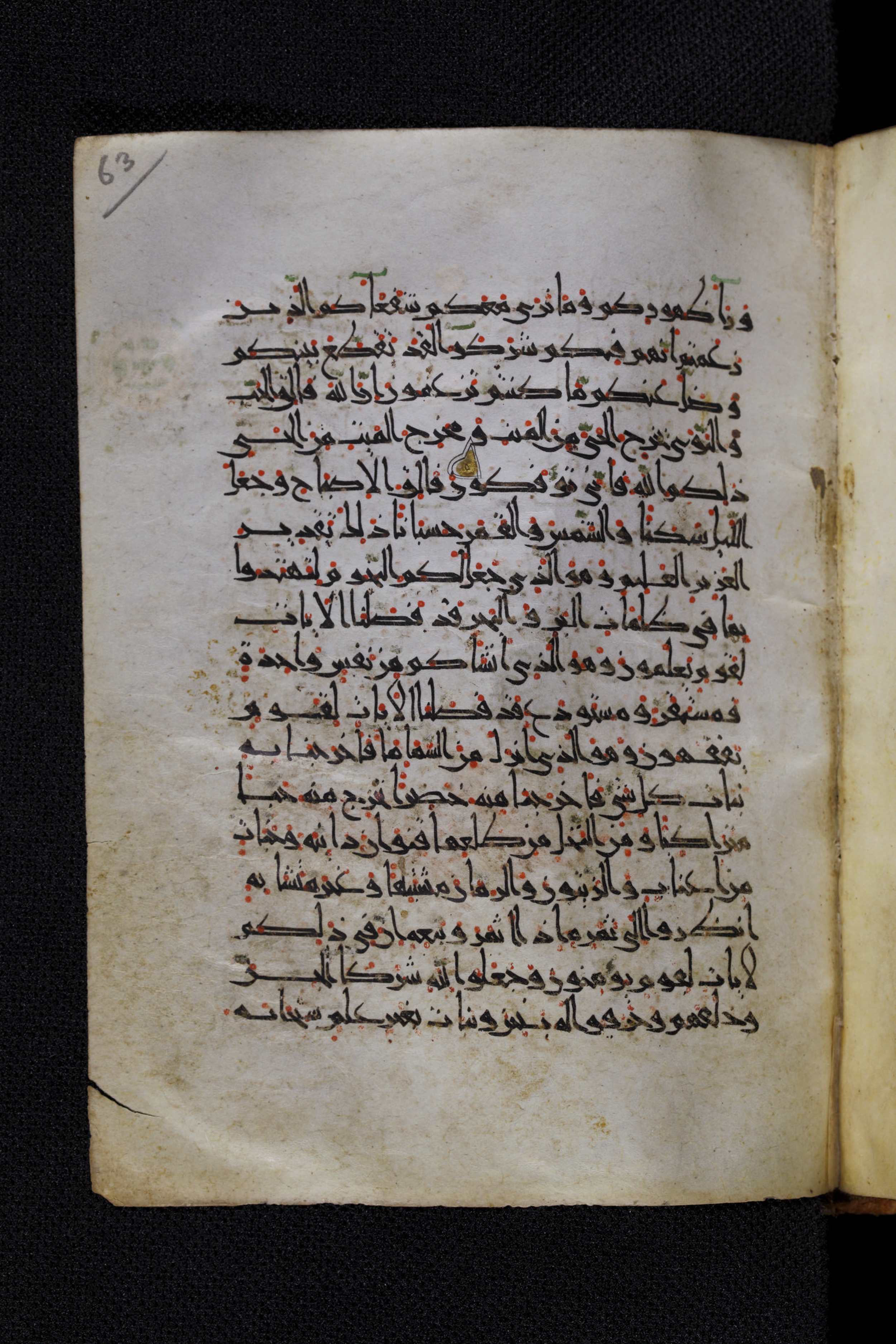 Diez A oct 172, in Transitional Maghrebi script, showing Surah 6:95 from Late 9th to Mid 11th Century AD found in Unknown, currently housed at Staatsbibliothek zu Berlin, Berlin, Germany