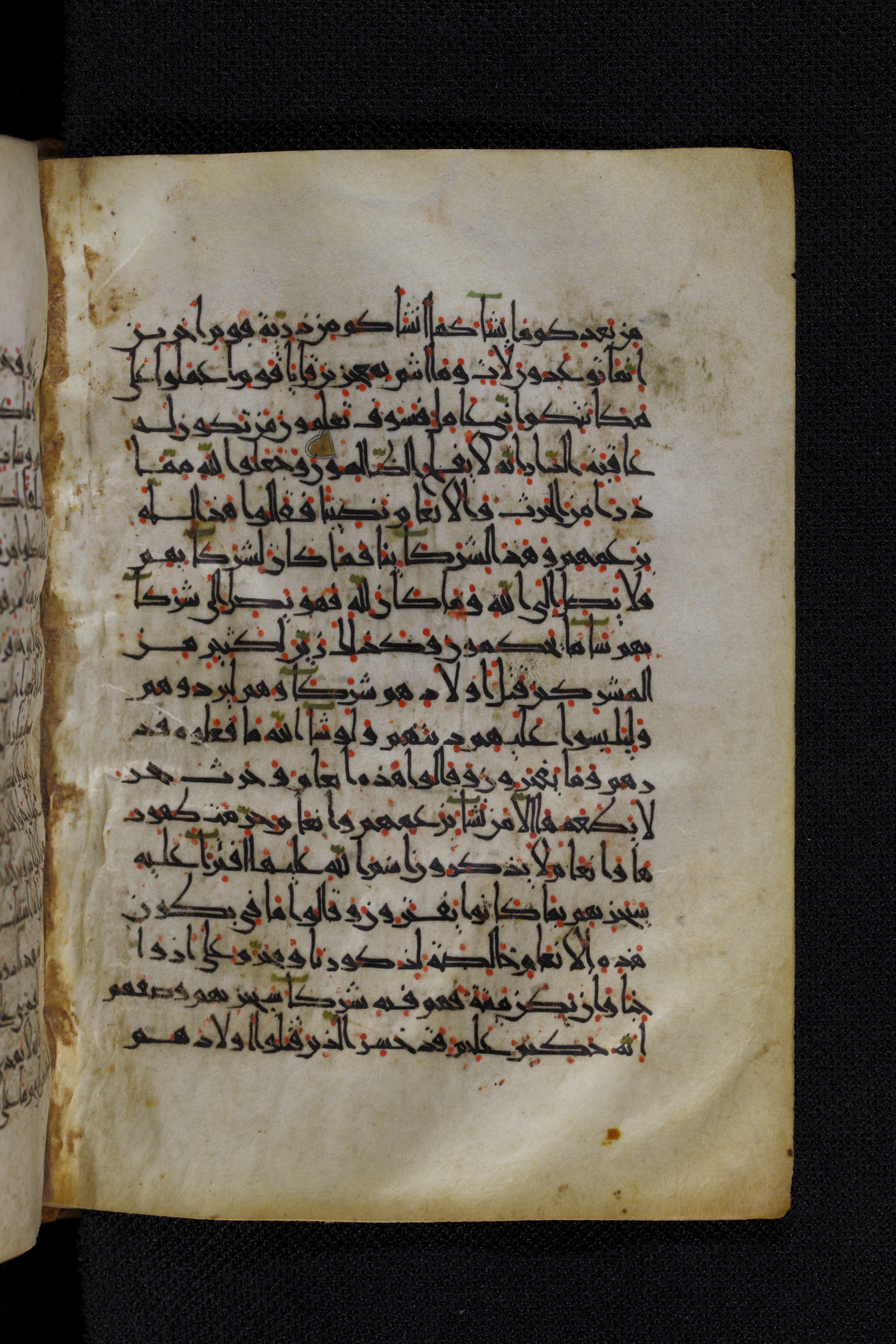 Diez A oct 172, in Transitional Maghrebi script, showing Surah 6:136 from Late 9th to Mid 11th Century AD found in Unknown, currently housed at Staatsbibliothek zu Berlin, Berlin, Germany