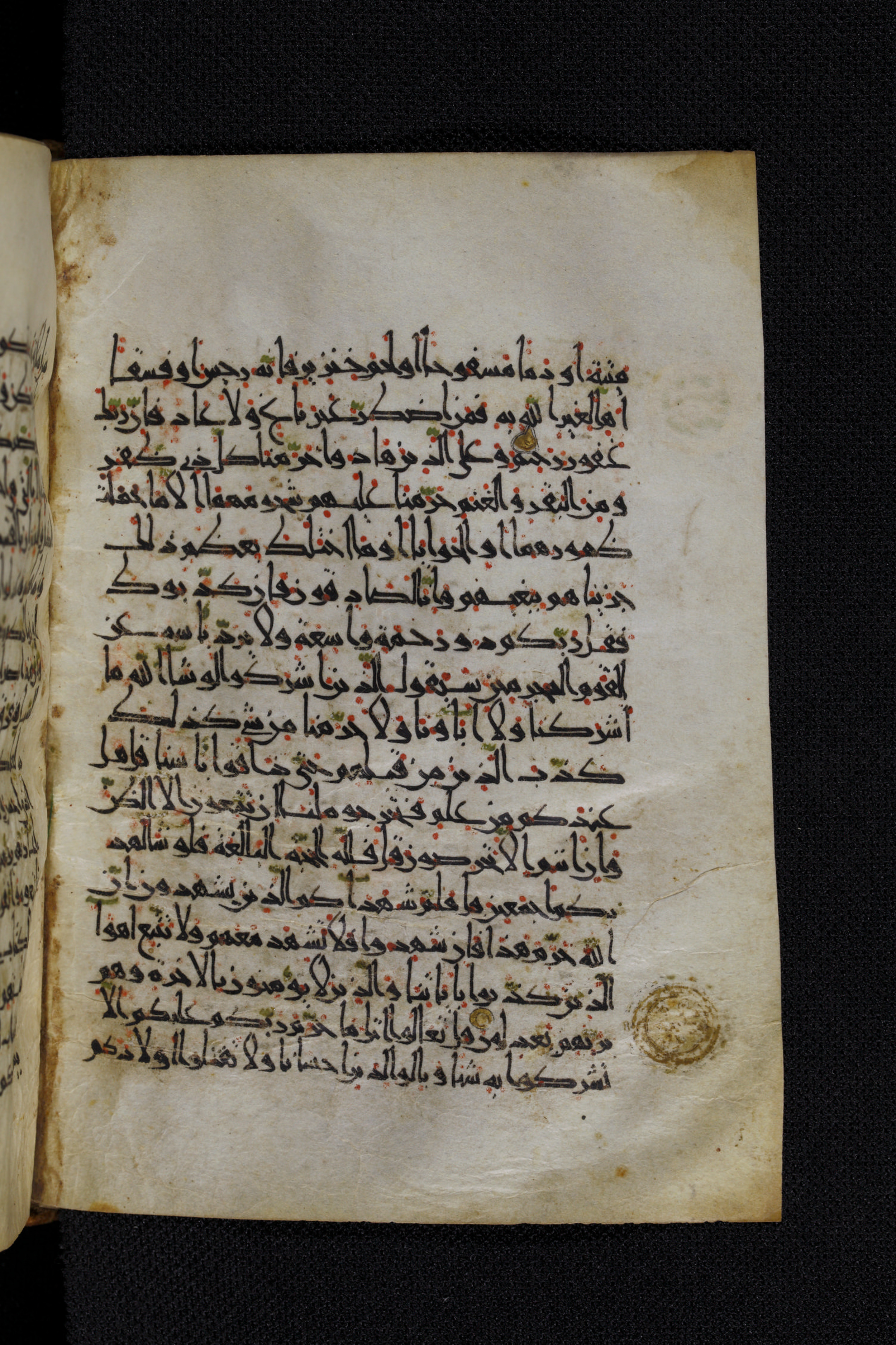 Diez A oct 172, in Transitional Maghrebi script, showing Surah 6:147 from Late 9th to Mid 11th Century AD found in Unknown, currently housed at Staatsbibliothek zu Berlin, Berlin, Germany
