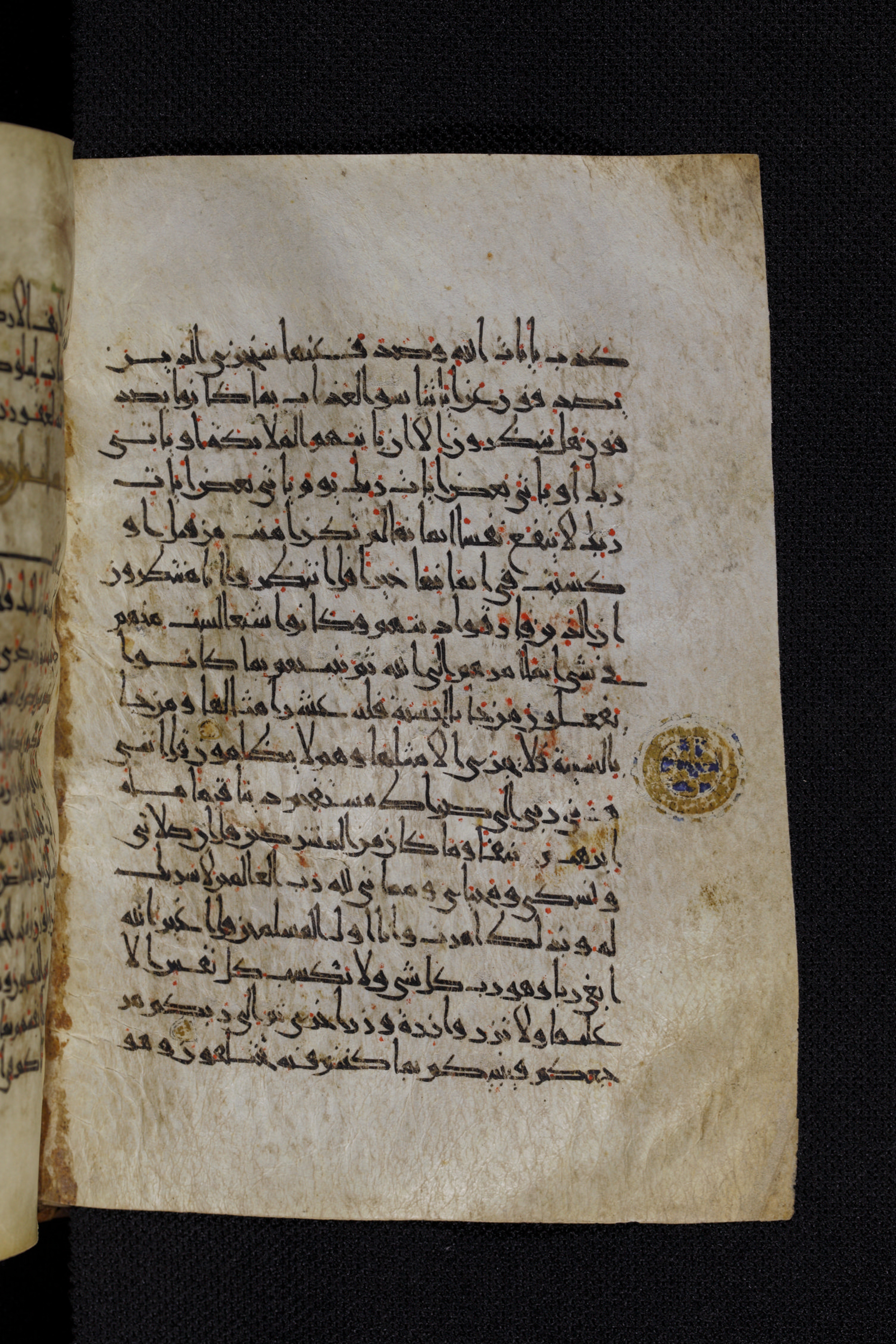 Diez A oct 172, in Transitional Maghrebi script, showing Surah 6:161 from Late 9th to Mid 11th Century AD found in Unknown, currently housed at Staatsbibliothek zu Berlin, Berlin, Germany