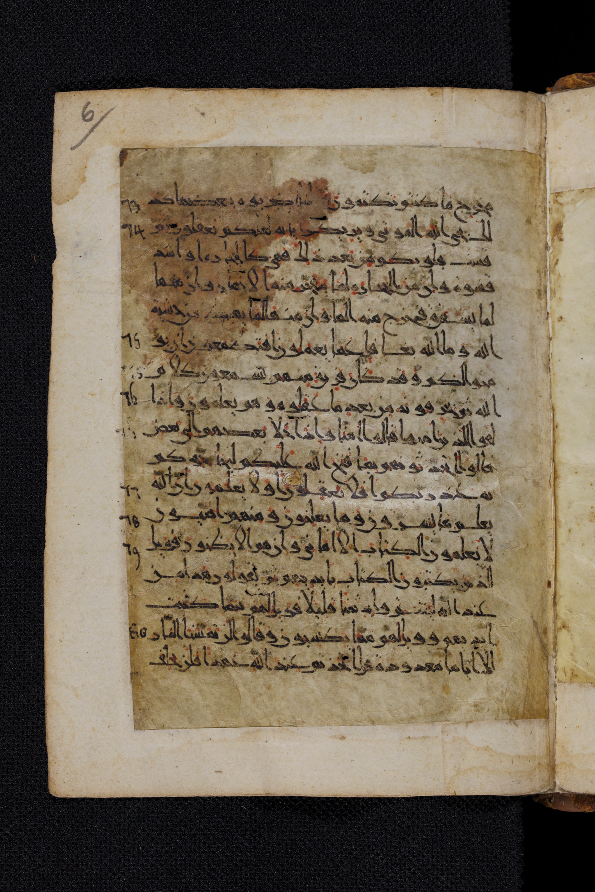 Diez A oct 172, in Transitional Maghrebi script, showing Surah 2:76 from Late 9th to Mid 11th Century AD found in Unknown, currently housed at Staatsbibliothek zu Berlin, Berlin, Germany