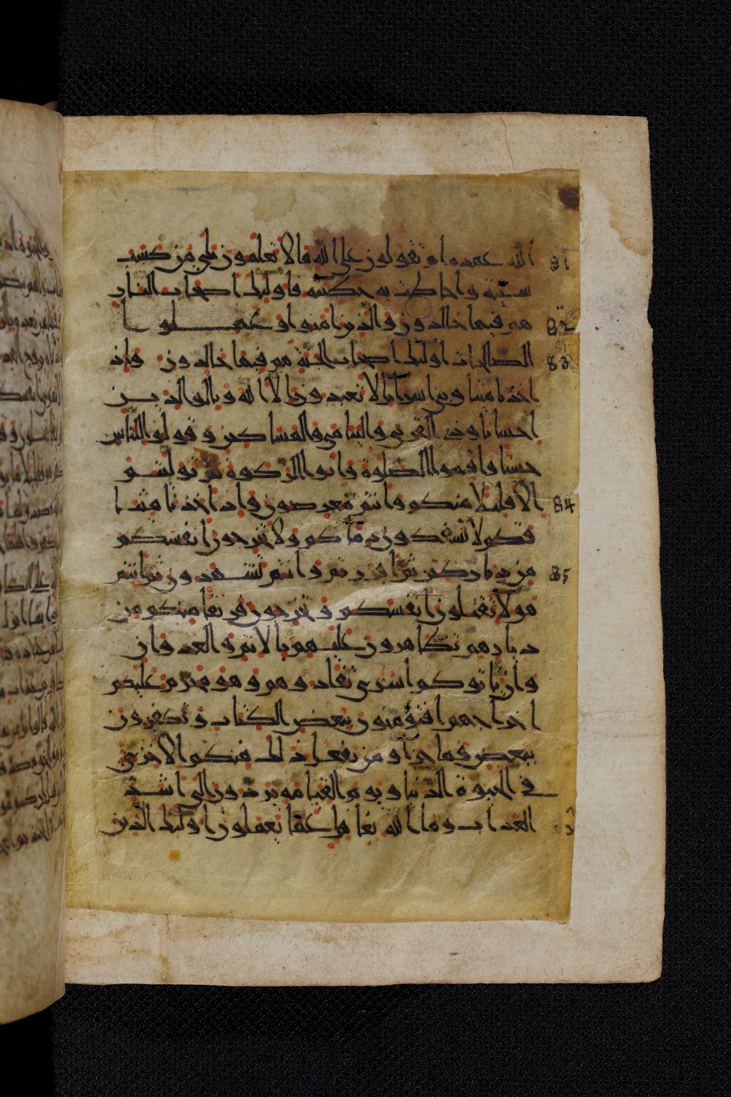 Diez A oct 172, in Transitional Maghrebi script, showing Surah 2:83 from Late 9th to Mid 11th Century AD found in Unknown, currently housed at Staatsbibliothek zu Berlin, Berlin, Germany