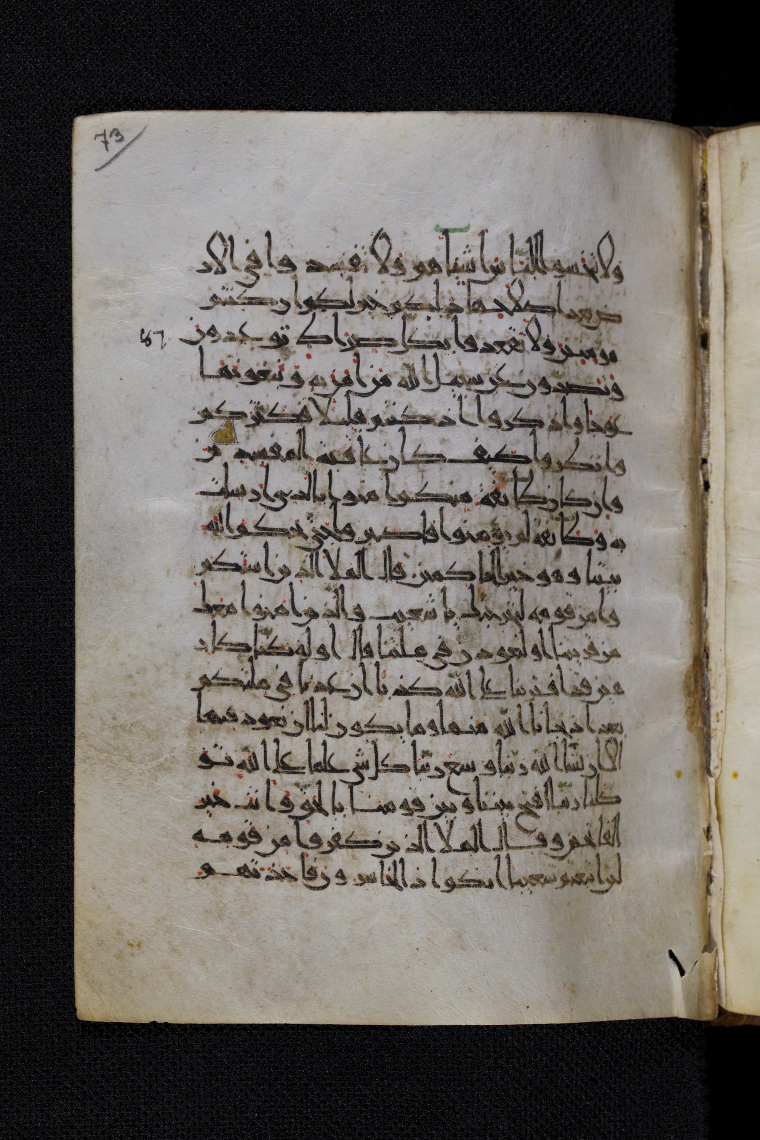 Diez A oct 172 (Scan 1), in Transitional Maghrebi script, showing Surah 7:91 from Late 9th to Mid 11th Century AD found in Unknown, currently housed at Staatsbibliothek zu Berlin, Berlin, Germany