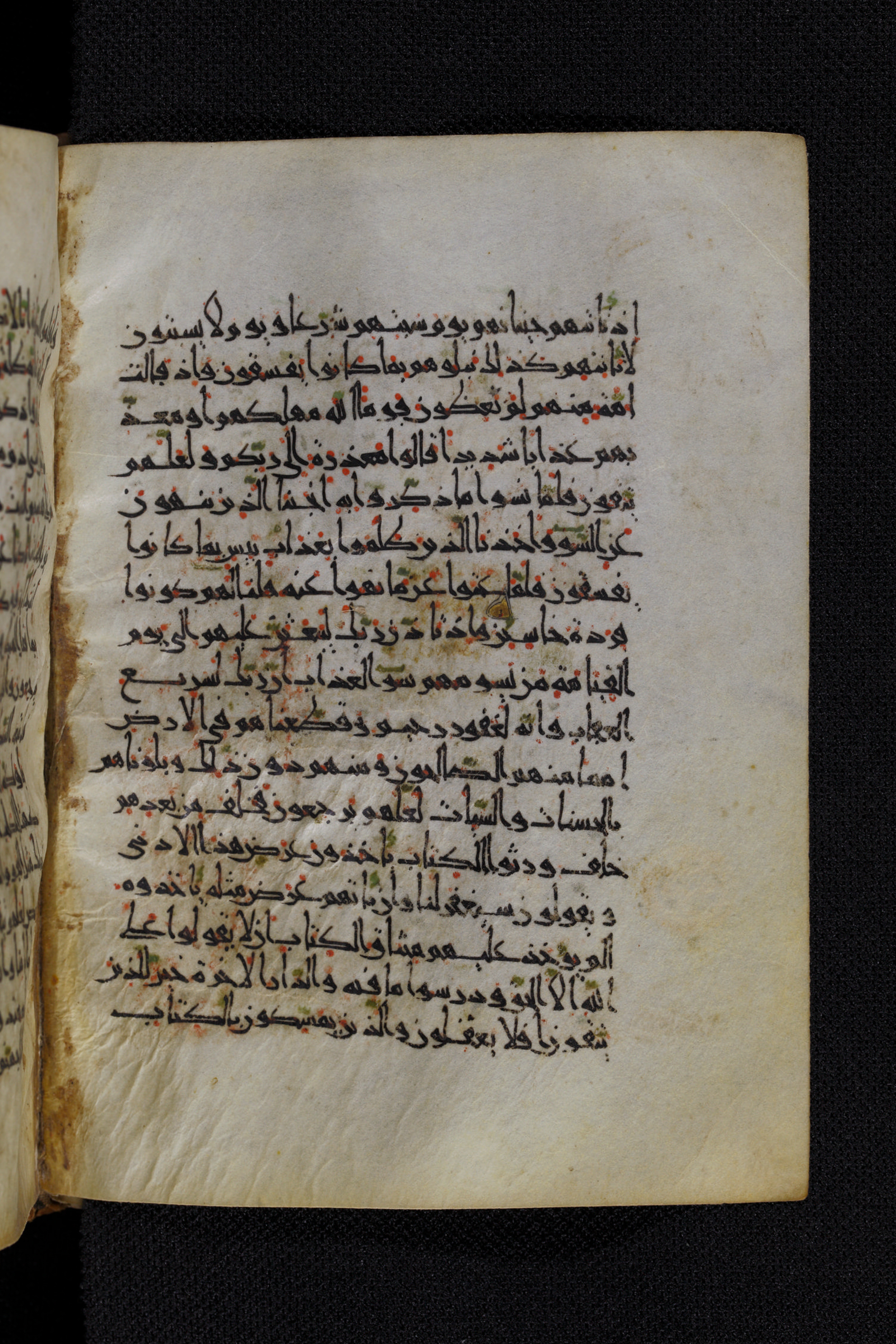 Diez A oct 172, in Transitional Maghrebi script, showing Surah 7:166 from Late 9th to Mid 11th Century AD found in Unknown, currently housed at Staatsbibliothek zu Berlin, Berlin, Germany