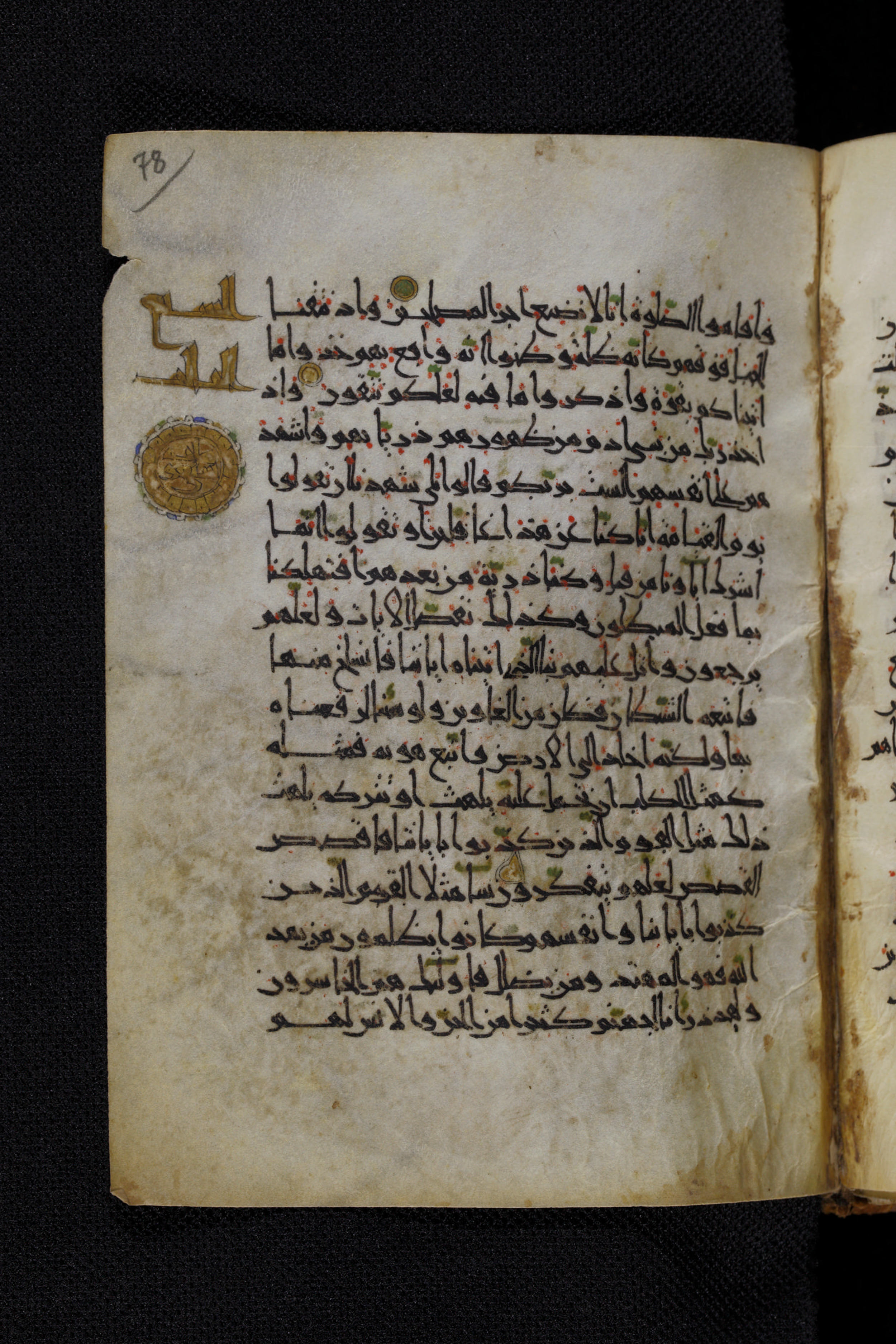 Diez A oct 172, in Transitional Maghrebi script, showing Surah 7:175 from Late 9th to Mid 11th Century AD found in Unknown, currently housed at Staatsbibliothek zu Berlin, Berlin, Germany