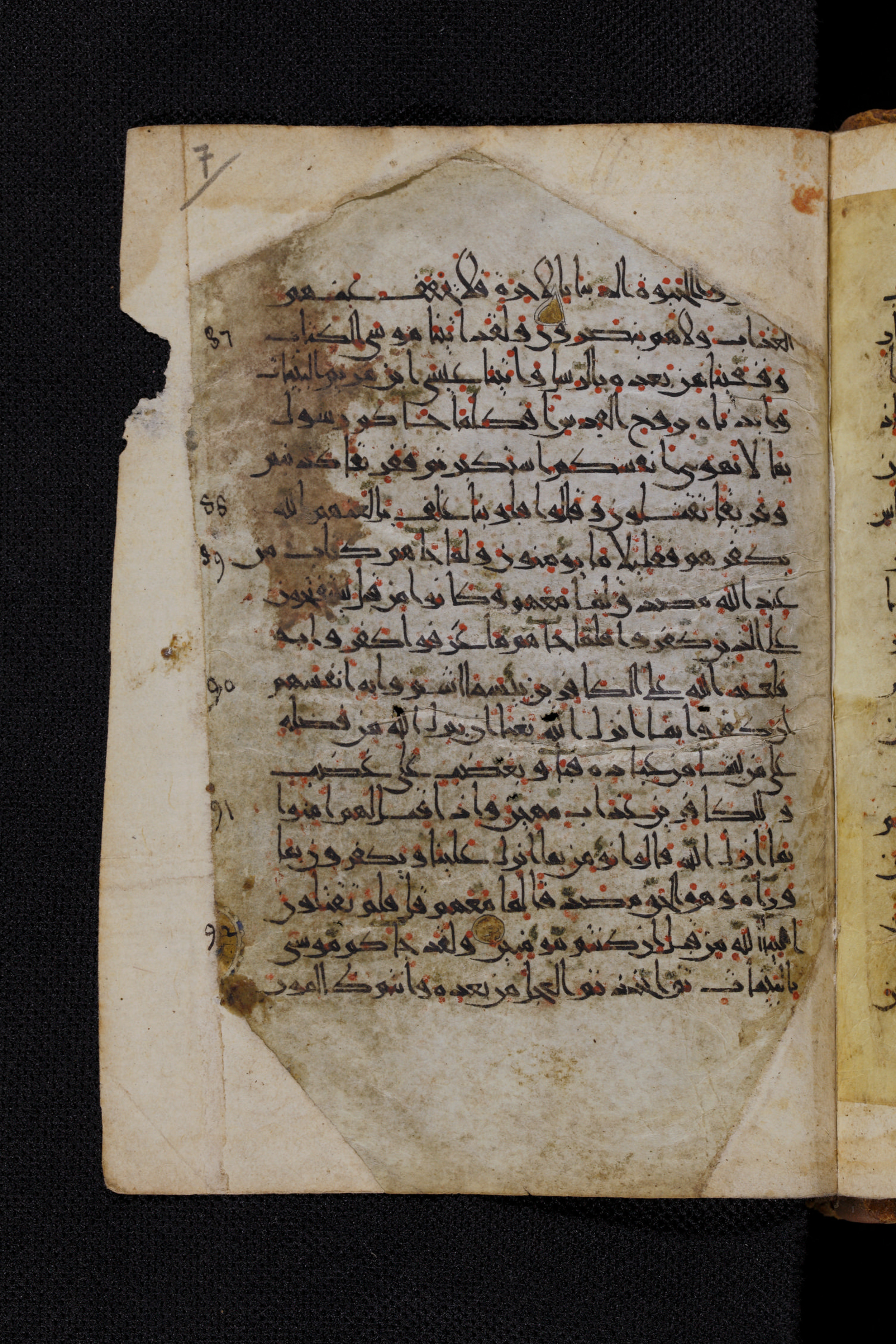 Diez A oct 172, in Transitional Maghrebi script, showing Surah 2:87 from Late 9th to Mid 11th Century AD found in Unknown, currently housed at Staatsbibliothek zu Berlin, Berlin, Germany