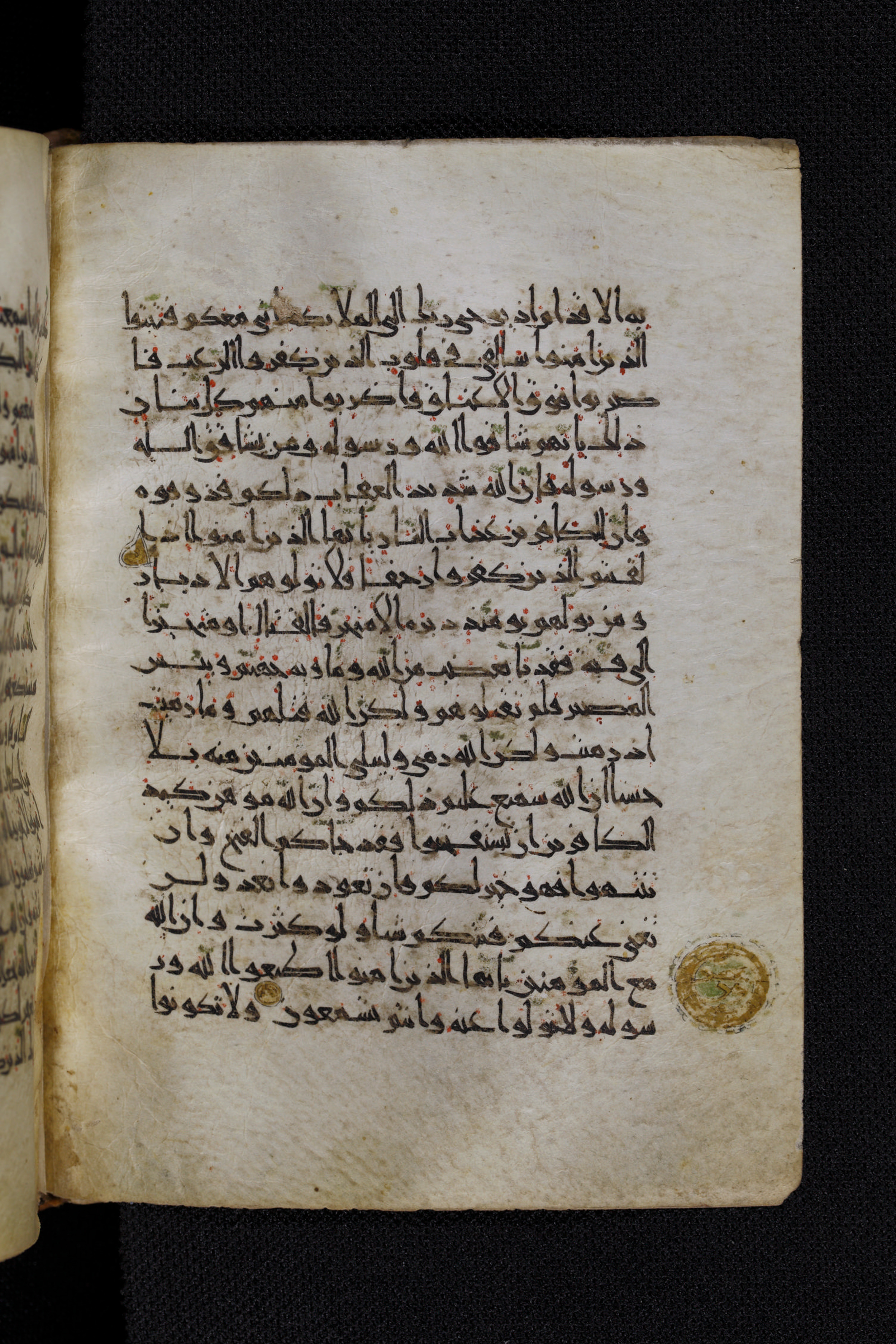 Diez A oct 172 (Scan 1), in Transitional Maghrebi script, showing Surah 8:21 from Late 9th to Mid 11th Century AD found in Unknown, currently housed at Staatsbibliothek zu Berlin, Berlin, Germany