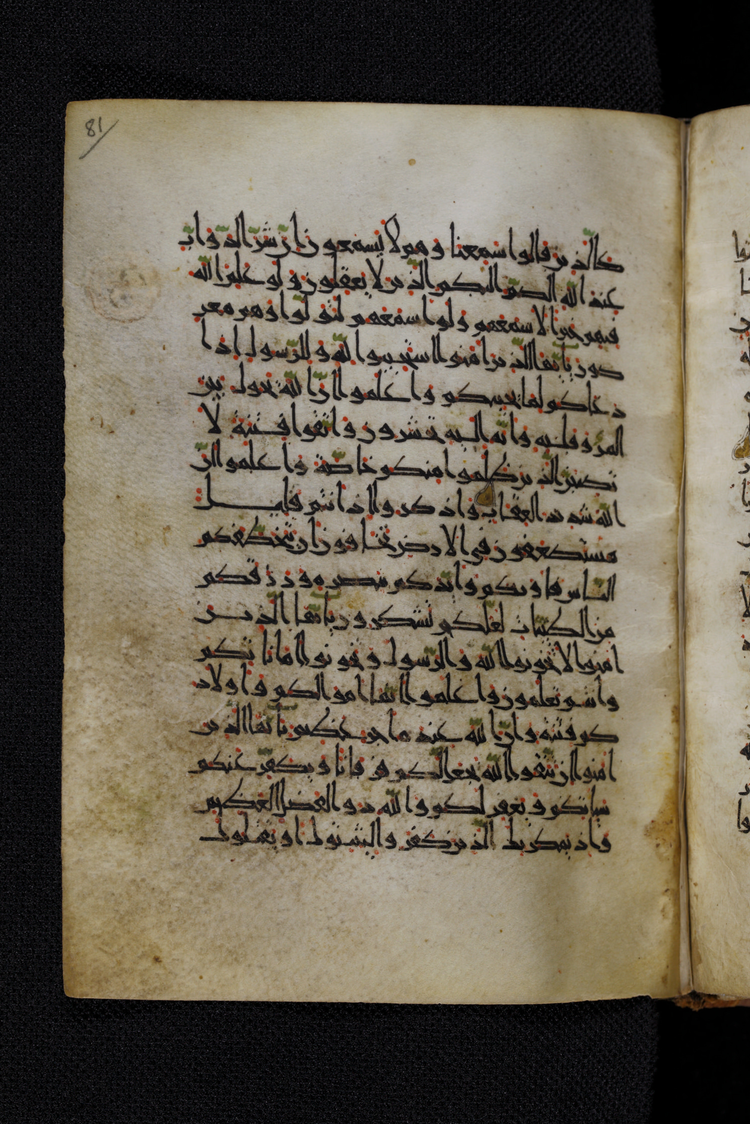 Diez A oct 172 (Scan 2), in Transitional Maghrebi script, showing Surah 8:21 from Late 9th to Mid 11th Century AD found in Unknown, currently housed at Staatsbibliothek zu Berlin, Berlin, Germany