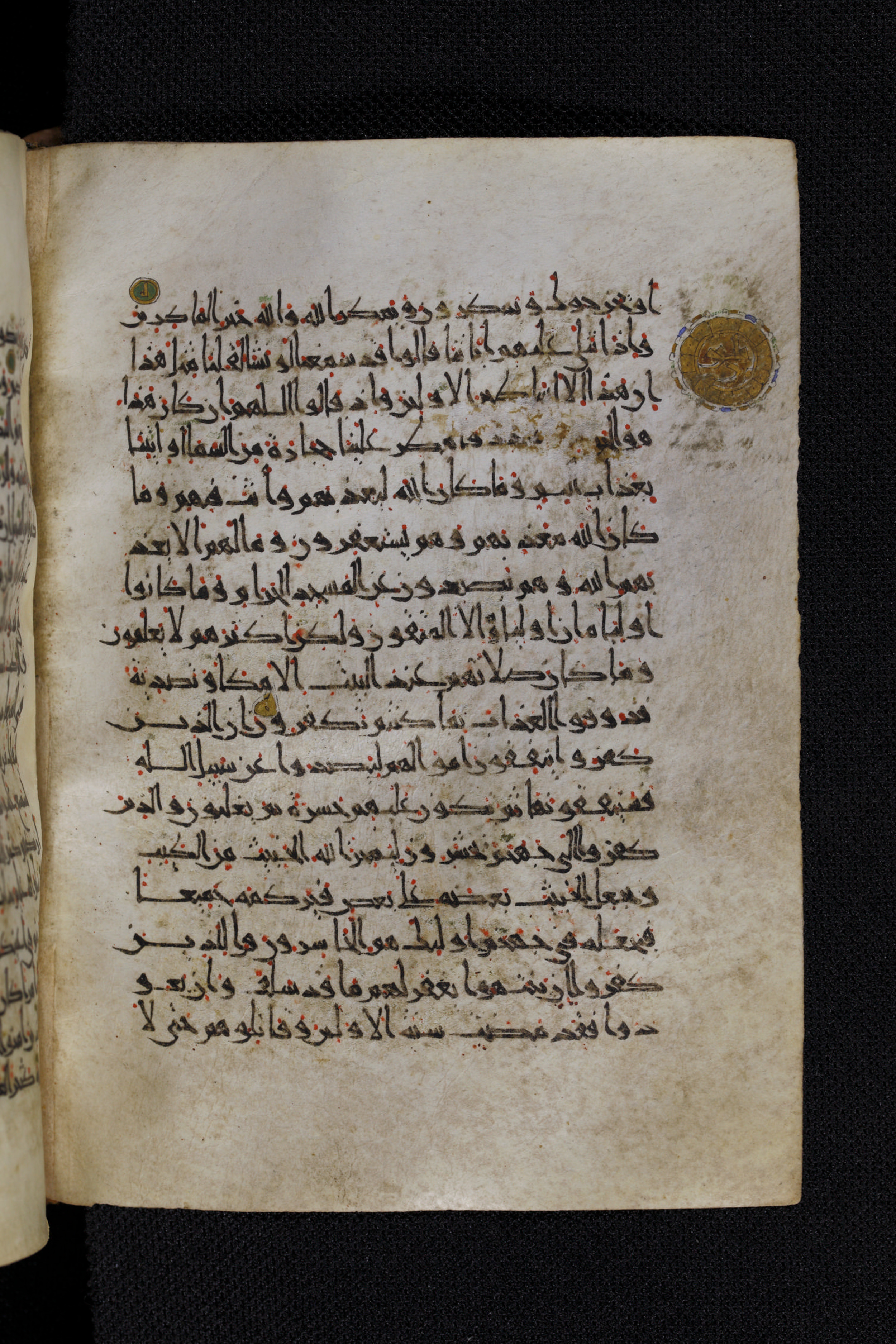 Diez A oct 172 (Scan 1), in Transitional Maghrebi script, showing Surah 8:39 from Late 9th to Mid 11th Century AD found in Unknown, currently housed at Staatsbibliothek zu Berlin, Berlin, Germany
