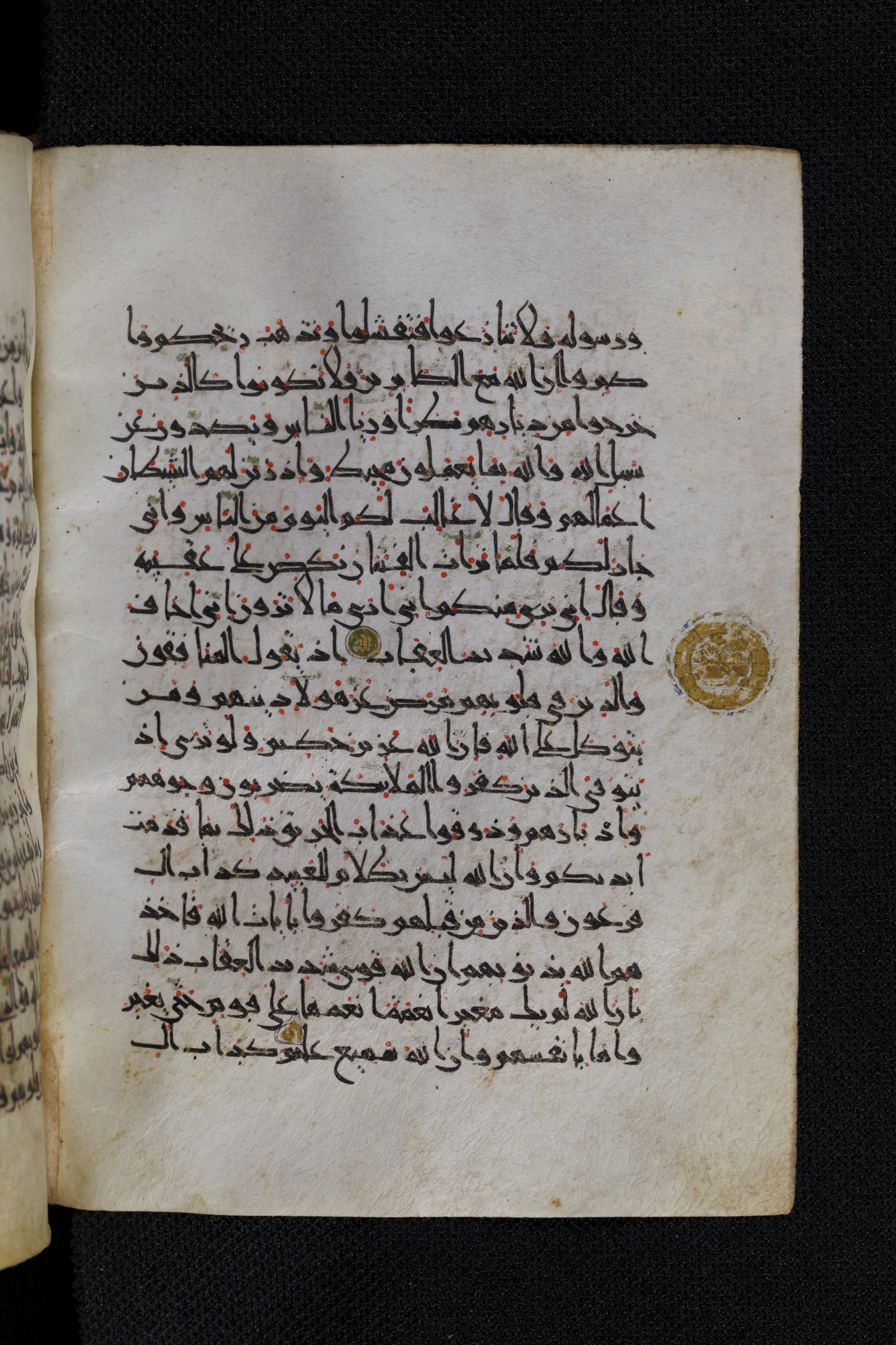 Diez A oct 172, in Transitional Maghrebi script, showing Surah 8:49 from Late 9th to Mid 11th Century AD found in Unknown, currently housed at Staatsbibliothek zu Berlin, Berlin, Germany
