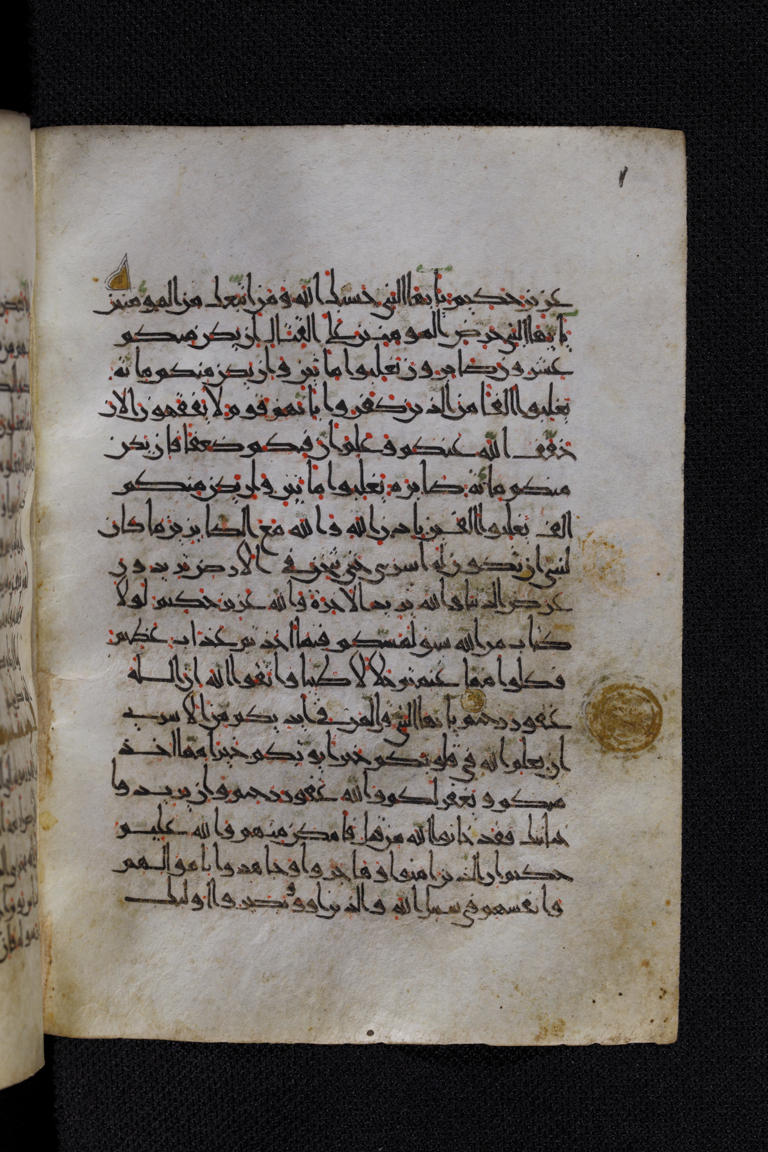 Diez A oct 172, in Transitional Maghrebi script, showing Surah 8:71 from Late 9th to Mid 11th Century AD found in Unknown, currently housed at Staatsbibliothek zu Berlin, Berlin, Germany
