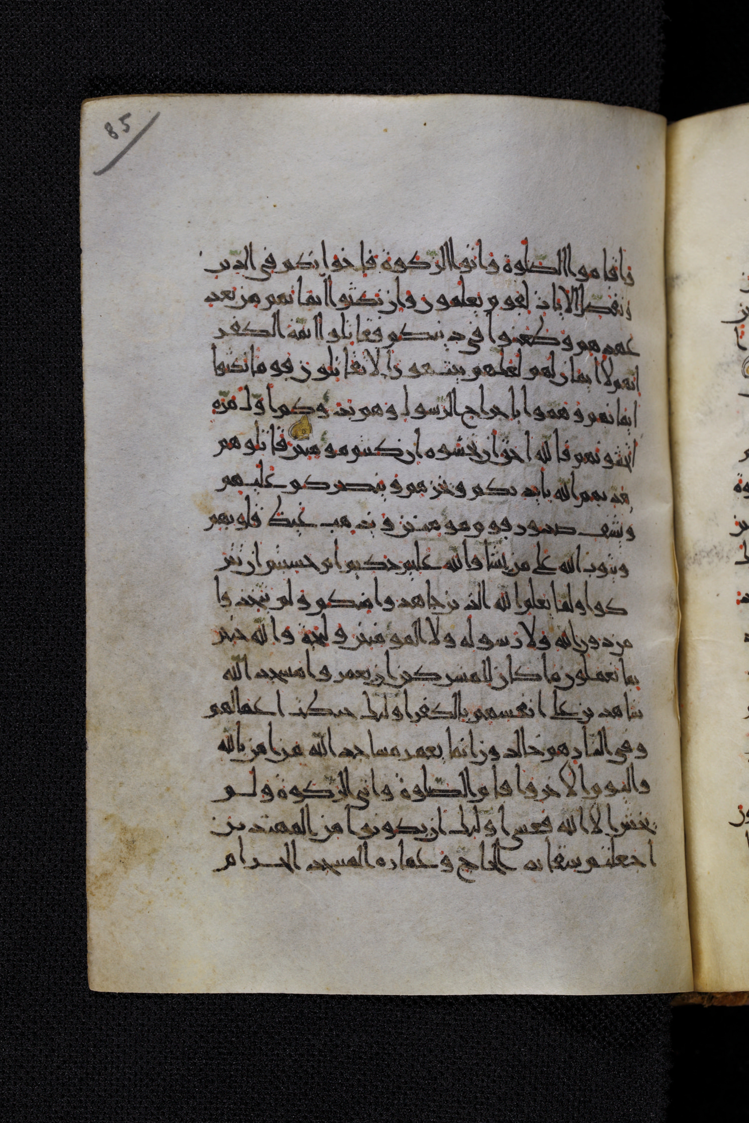Diez A oct 172, in Transitional Maghrebi script, showing Surah 9:13 from Late 9th to Mid 11th Century AD found in Unknown, currently housed at Staatsbibliothek zu Berlin, Berlin, Germany