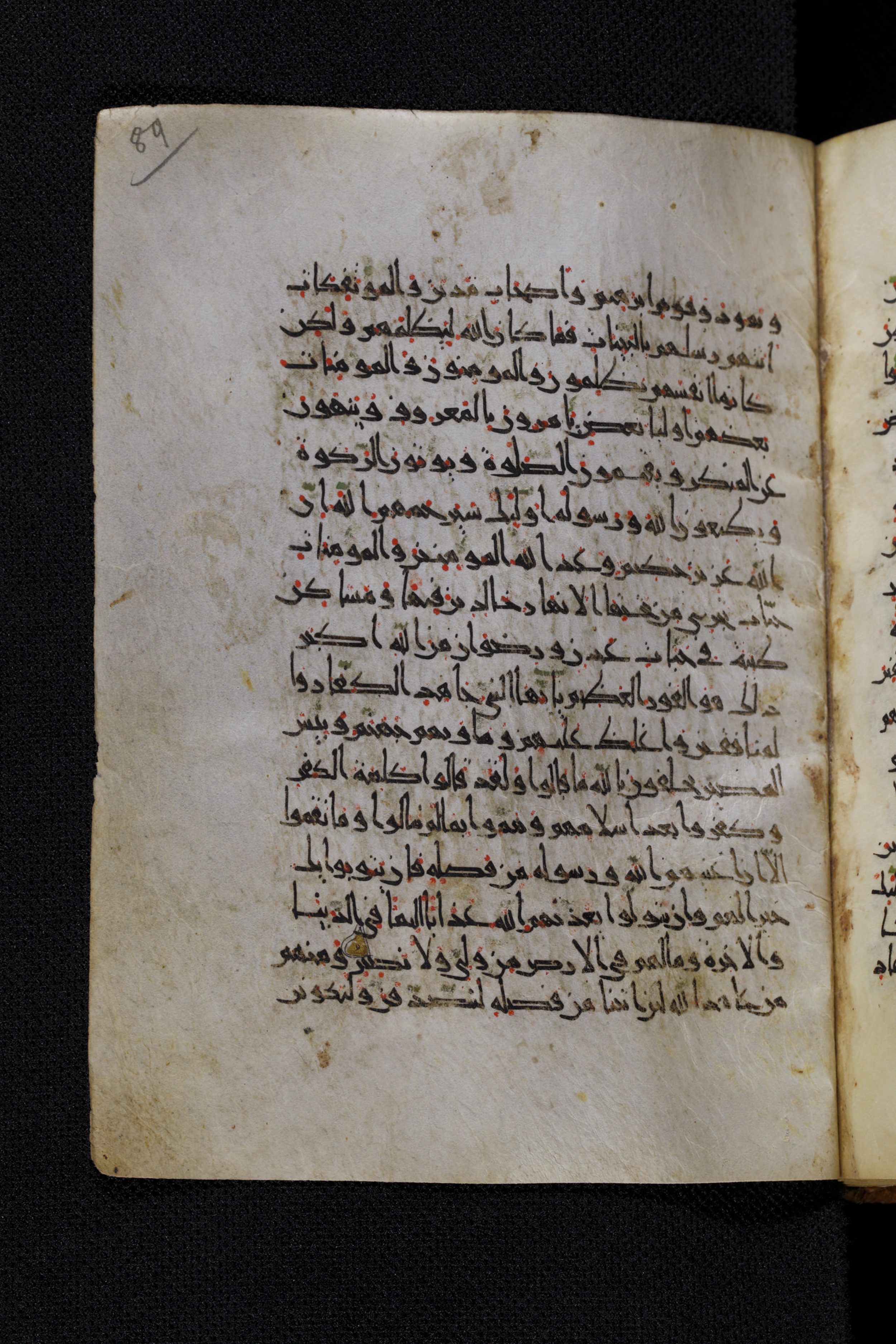 Diez A oct 172, in Transitional Maghrebi script, showing Surah 9:71 from Late 9th to Mid 11th Century AD found in Unknown, currently housed at Staatsbibliothek zu Berlin, Berlin, Germany