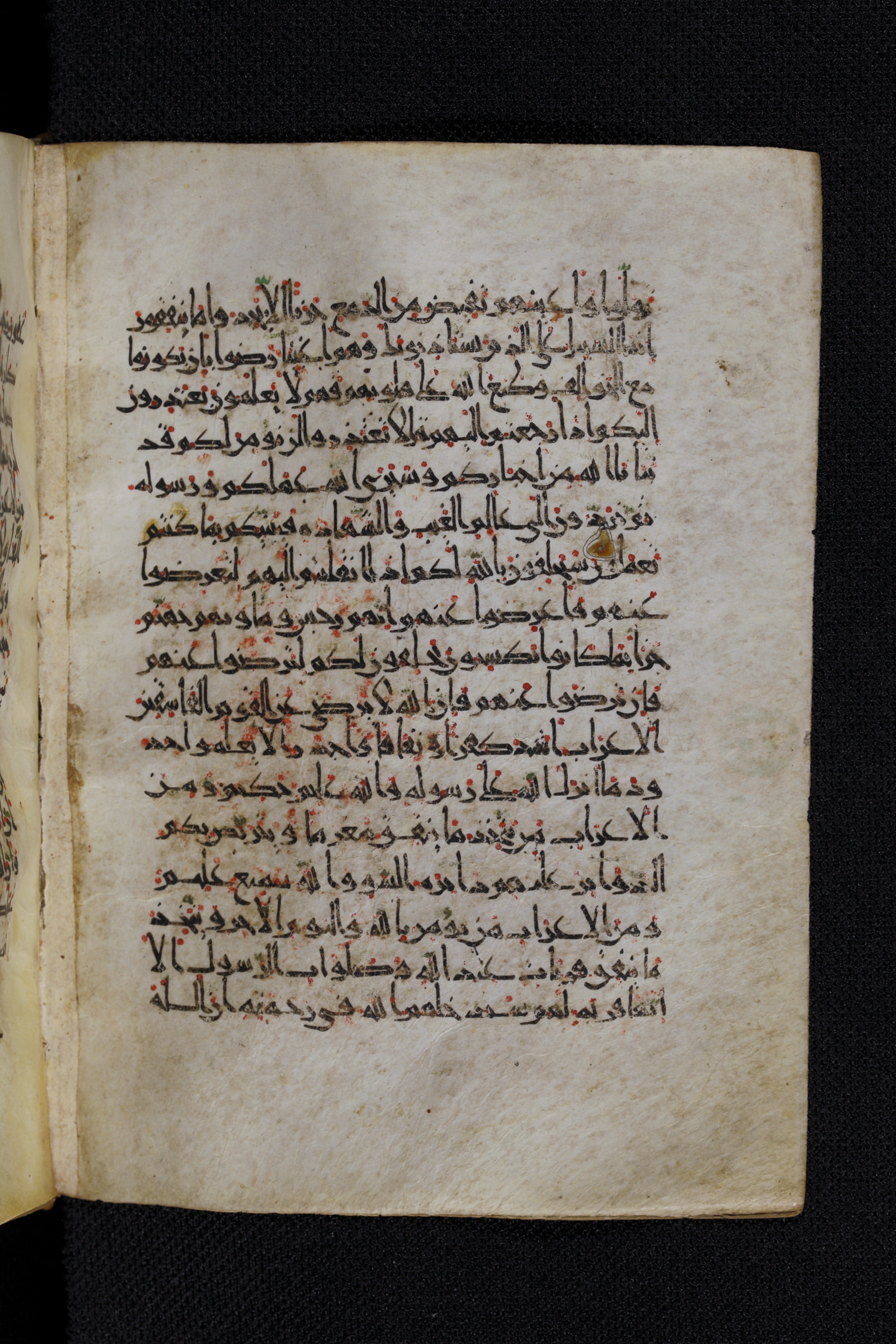 Diez A oct 172, in Transitional Maghrebi script, showing Surah 9:97 from Late 9th to Mid 11th Century AD found in Unknown, currently housed at Staatsbibliothek zu Berlin, Berlin, Germany