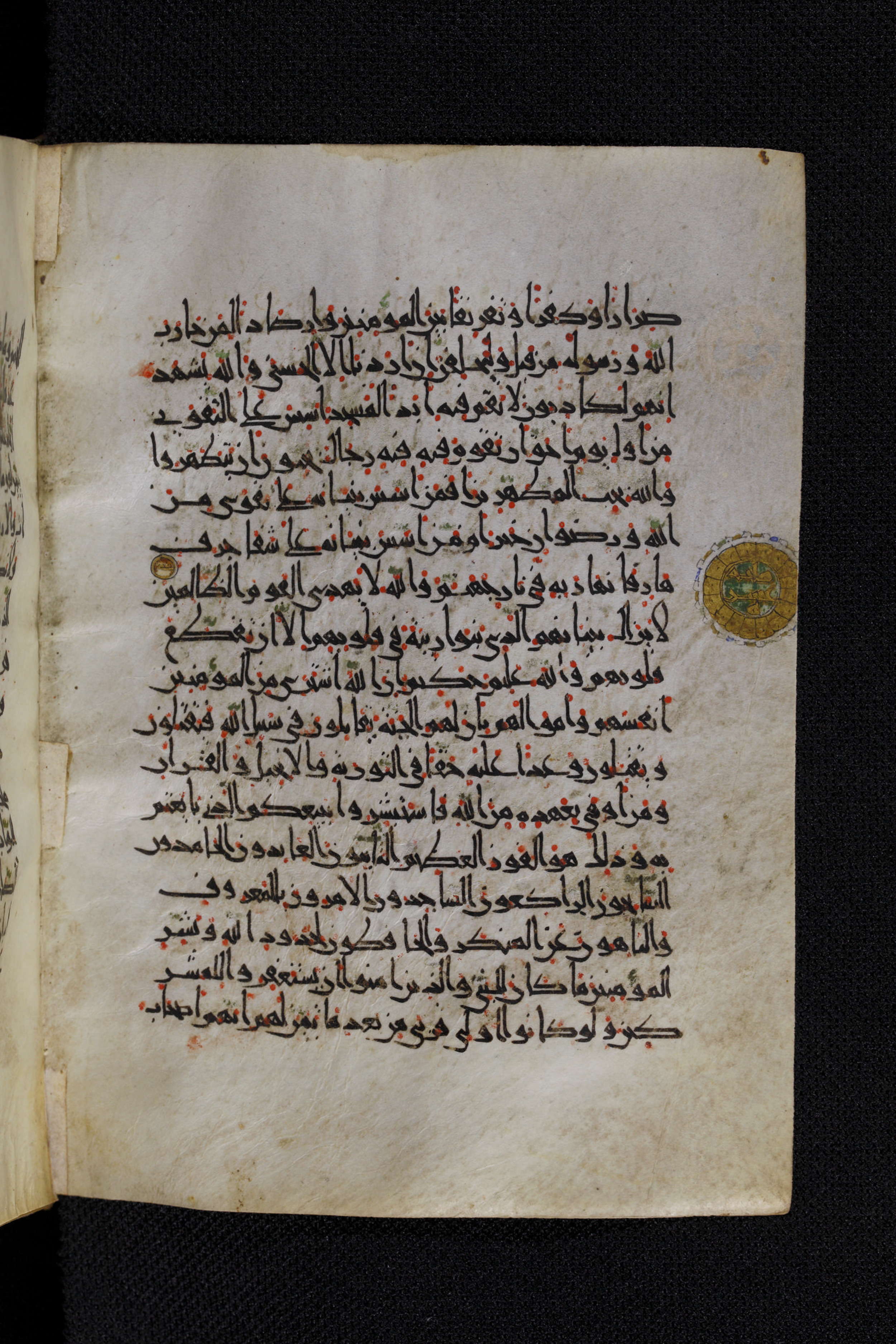 Diez A oct 172 (Scan 1), in Transitional Maghrebi script, showing Surah 9:113 from Late 9th to Mid 11th Century AD found in Unknown, currently housed at Staatsbibliothek zu Berlin, Berlin, Germany