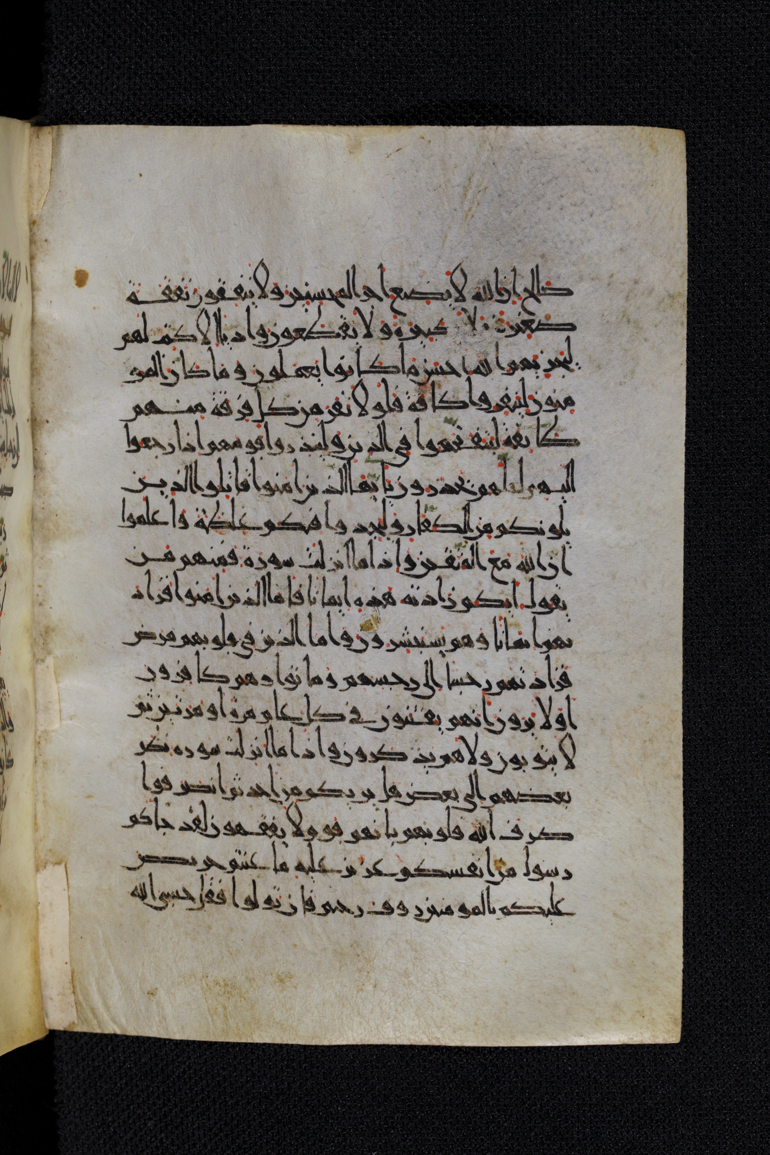 Diez A oct 172, in Transitional Maghrebi script, showing Surah 9:124 from Late 9th to Mid 11th Century AD found in Unknown, currently housed at Staatsbibliothek zu Berlin, Berlin, Germany