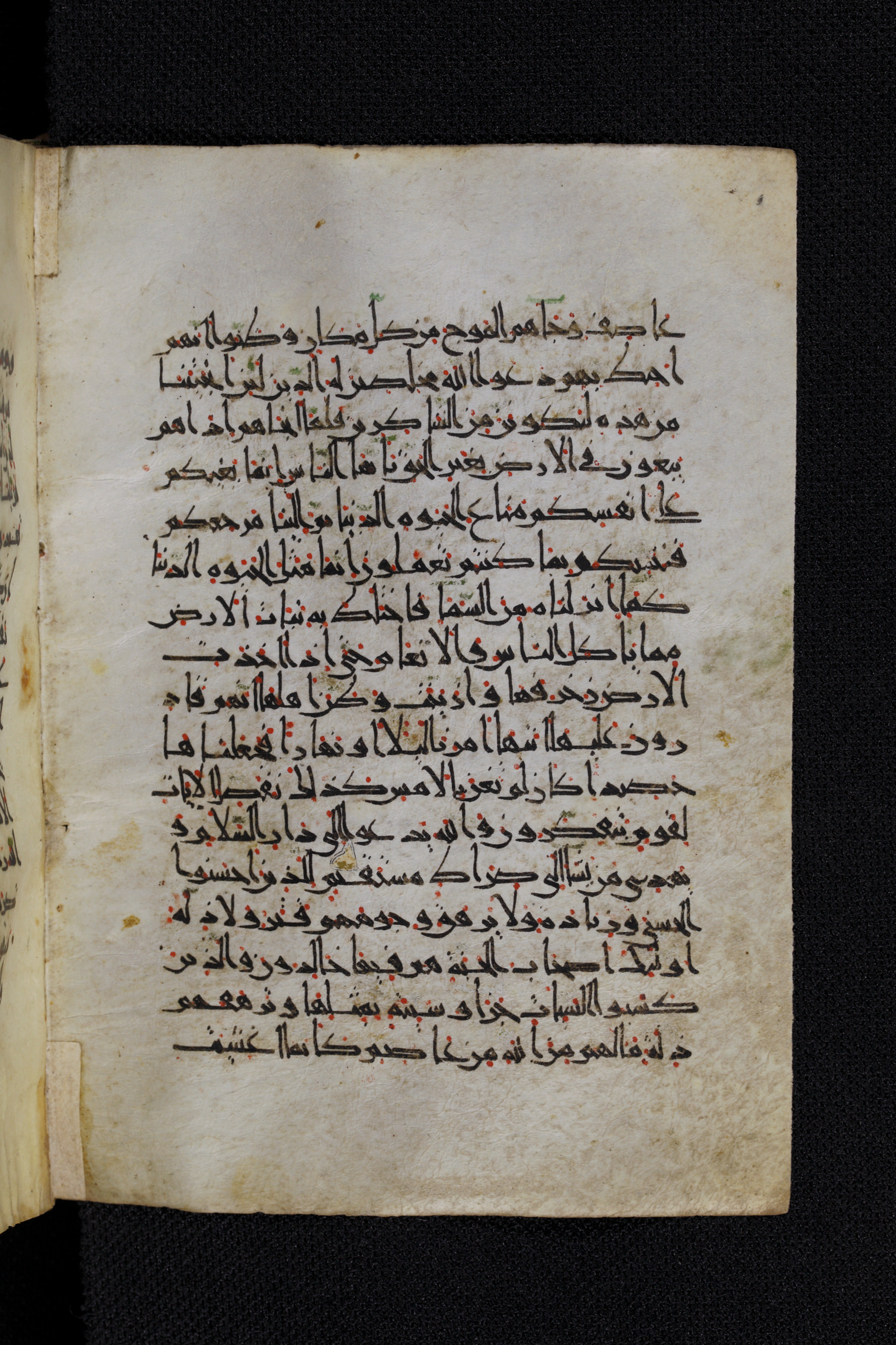 Diez A oct 172 (Scan 2), in Transitional Maghrebi script, showing Surah 10:22 from Late 9th to Mid 11th Century AD found in Unknown, currently housed at Staatsbibliothek zu Berlin, Berlin, Germany