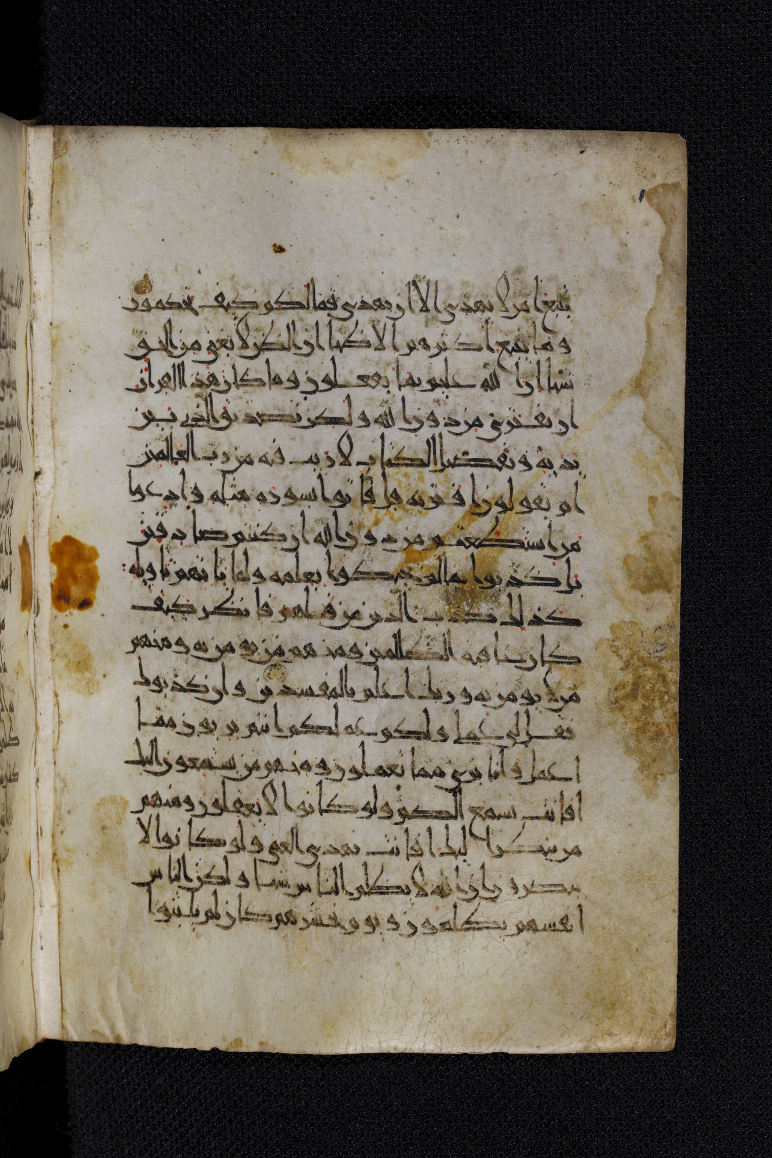 Diez A oct 172, in Transitional Maghrebi script, showing Surah 10:39 from Late 9th to Mid 11th Century AD found in Unknown, currently housed at Staatsbibliothek zu Berlin, Berlin, Germany