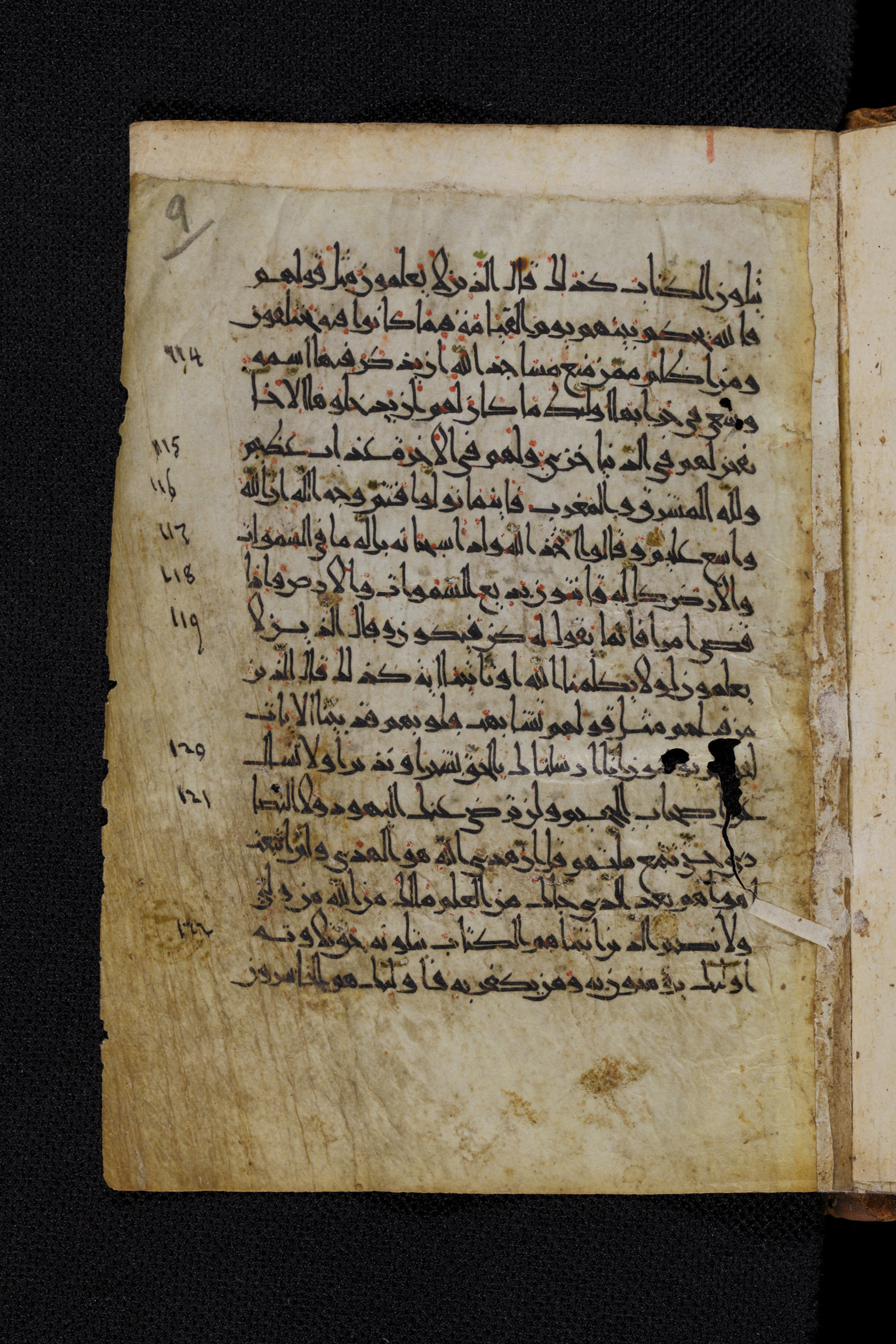 Diez A oct 172 (Scan 2), in Transitional Maghrebi script, showing Surah 2:113 from Late 9th to Mid 11th Century AD found in Unknown, currently housed at Staatsbibliothek zu Berlin, Berlin, Germany