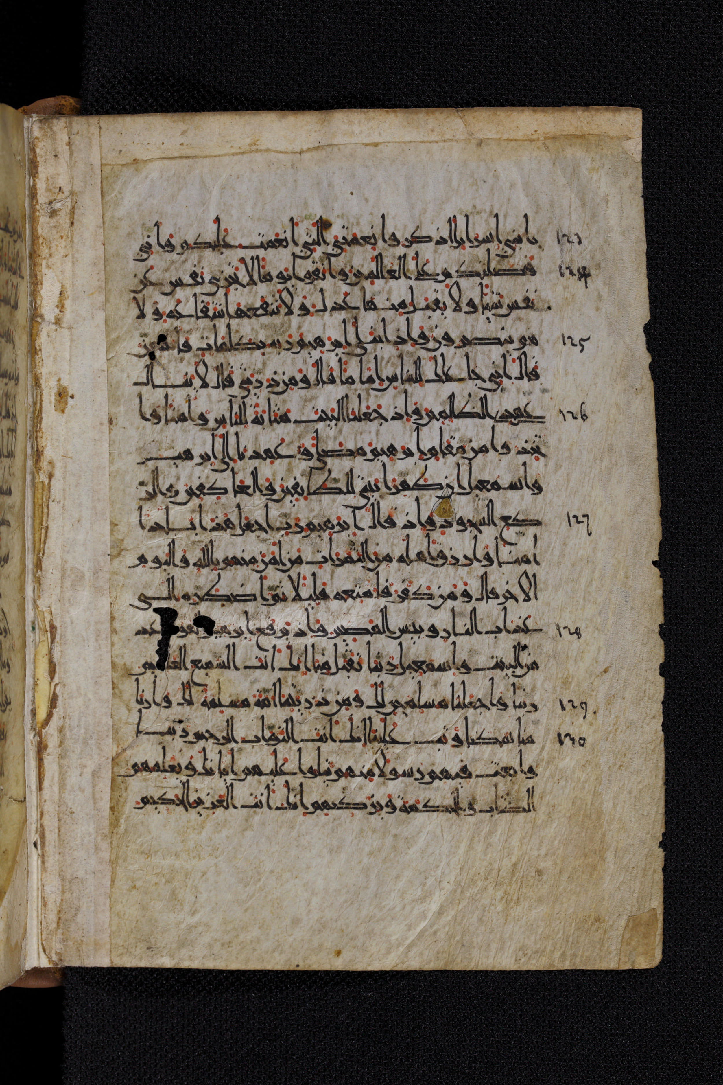 Diez A oct 172, in Transitional Maghrebi script, showing Surah 2:124 from Late 9th to Mid 11th Century AD found in Unknown, currently housed at Staatsbibliothek zu Berlin, Berlin, Germany