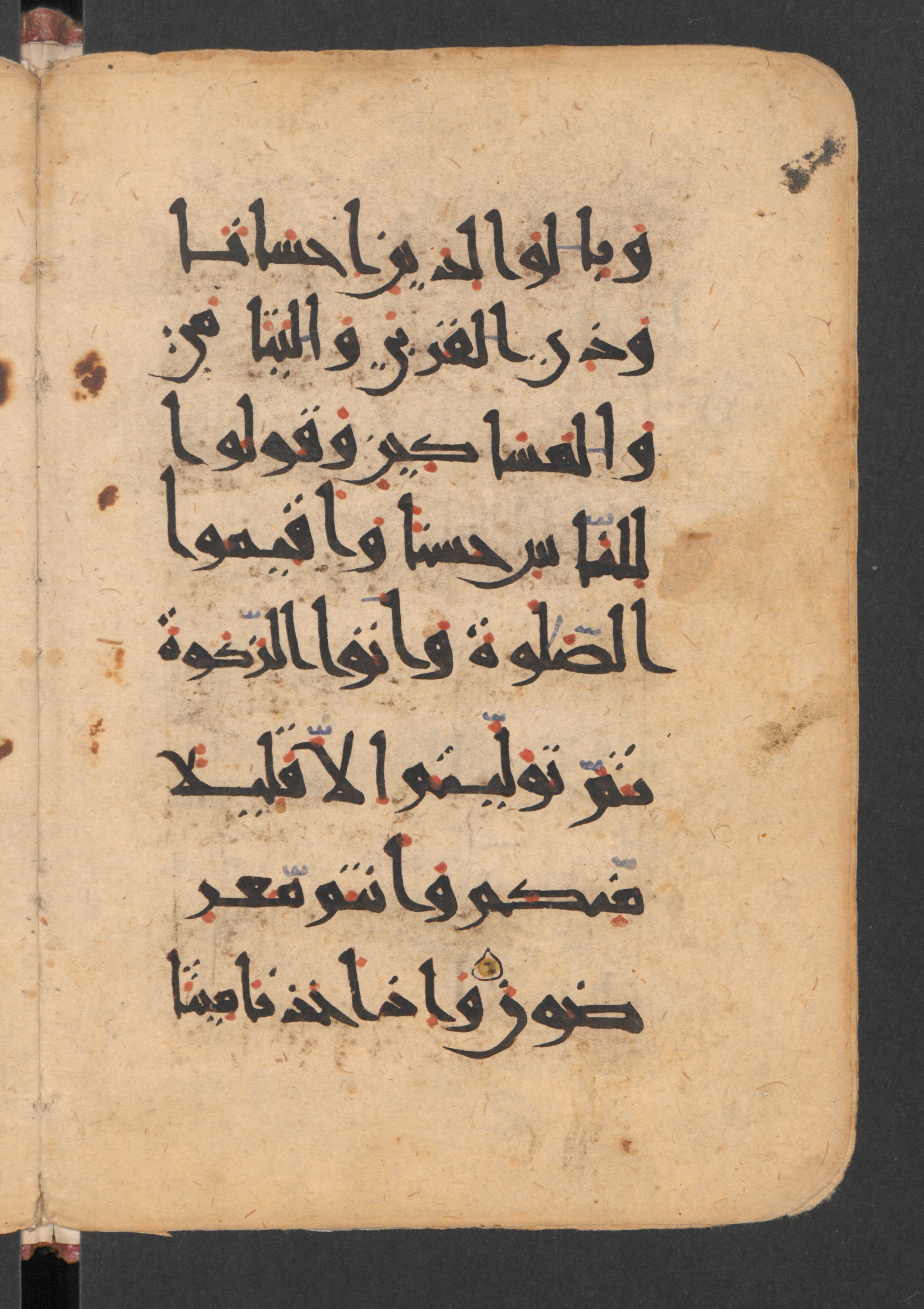Berlin, Staatsbibliothek zu Berlin, Wetzstein II 1952 (Ahlwardt 306) (Scan 2), in New Style script, showing Surah 2:83 from 10th to 12th Century AD found in Damascus, currently housed at Staatsbibliothek zu Berlin, Berlin, Germany