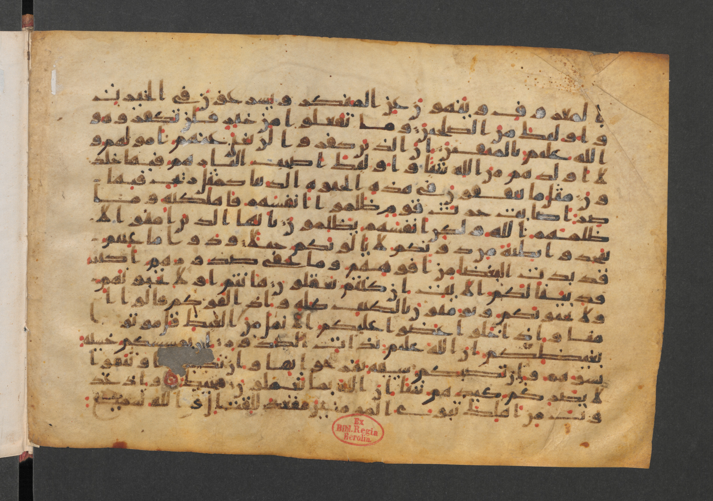 Wetzstein II 1920 (Ahlwardt 308), in kūfī C script, showing Surah 3:116 from Mid-8th to Late 9th Century AD found in Damascus, Syria, currently housed at Staatsbibliothek zu Berlin, Berlin, Germany