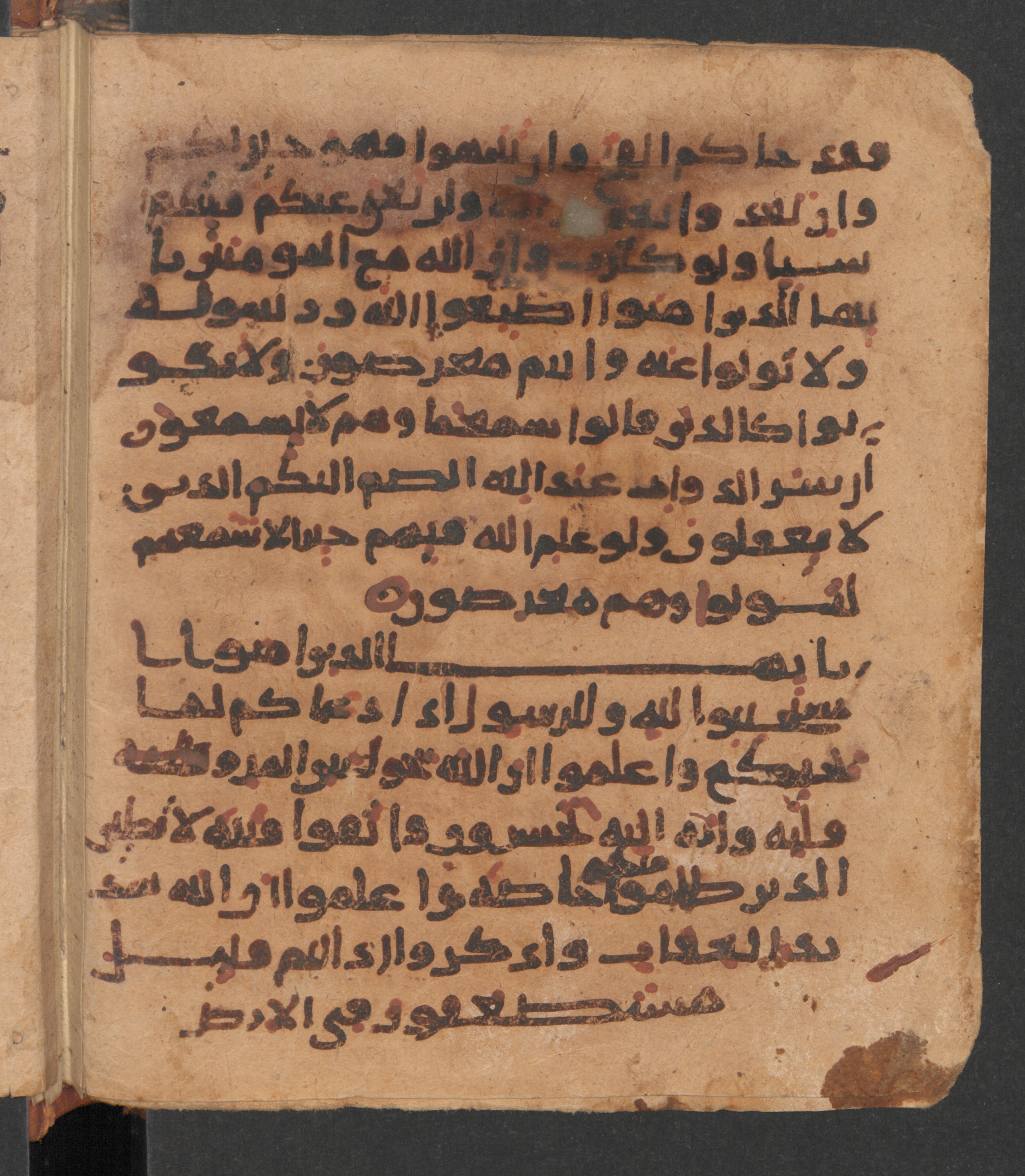 Wetzstein II 1956 (Ahlwardt 318), in New Style script, showing Surah 8:21 from 10th Century AD found in Damascus, Syria, currently housed at Staatsbibliothek zu Berlin, Berlin