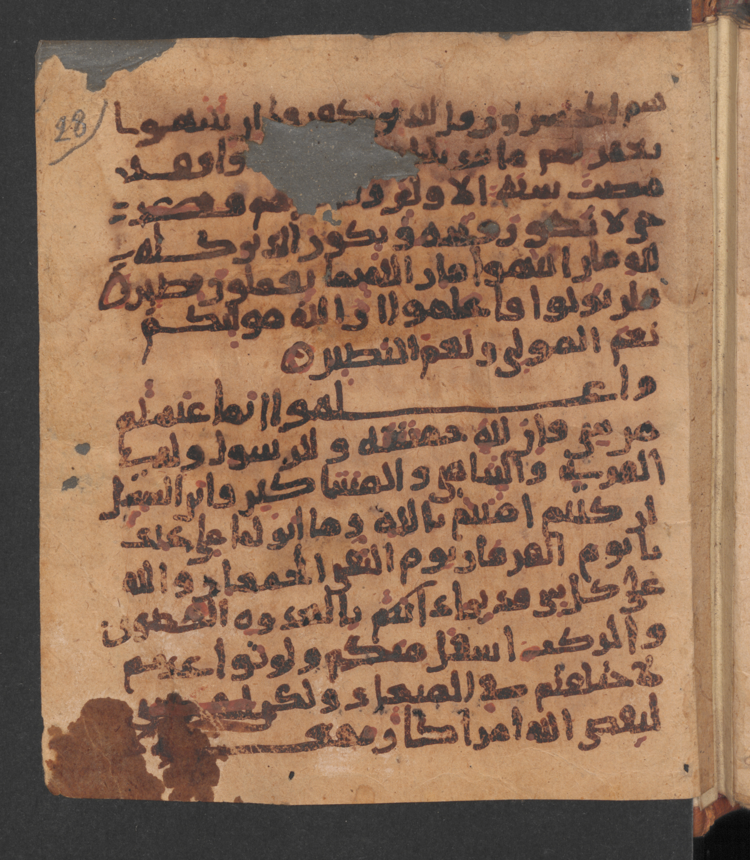 Wetzstein II 1956 (Ahlwardt 318), in New Style script, showing Surah 8:39 from 10th Century AD found in Damascus, Syria, currently housed at Staatsbibliothek zu Berlin, Berlin
