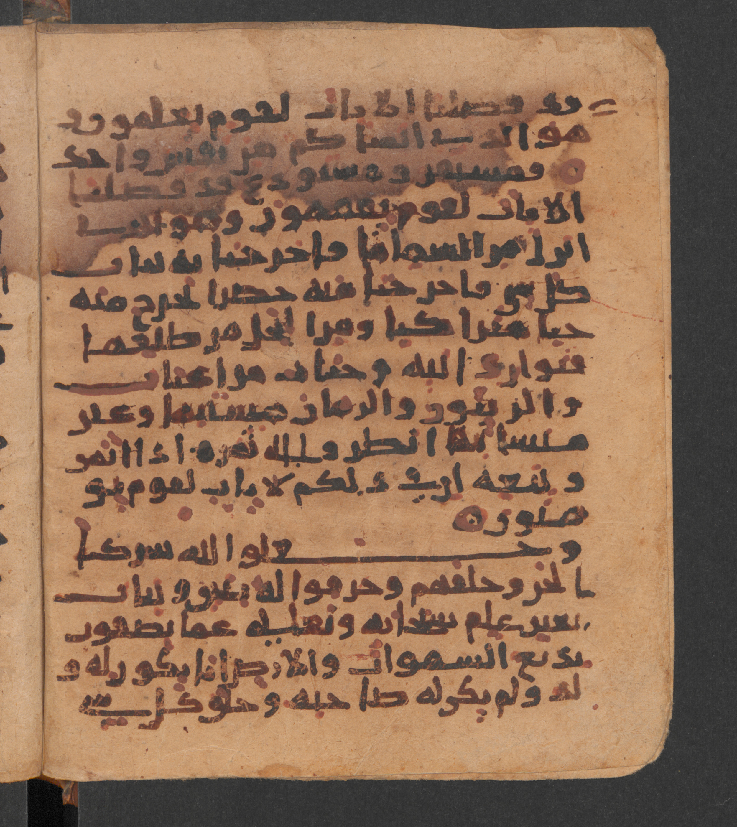 Wetzstein II 1956 (Ahlwardt 318), in New Style script, showing Surah 6:99 from 10th Century AD found in Damascus, Syria, currently housed at Staatsbibliothek zu Berlin, Berlin
