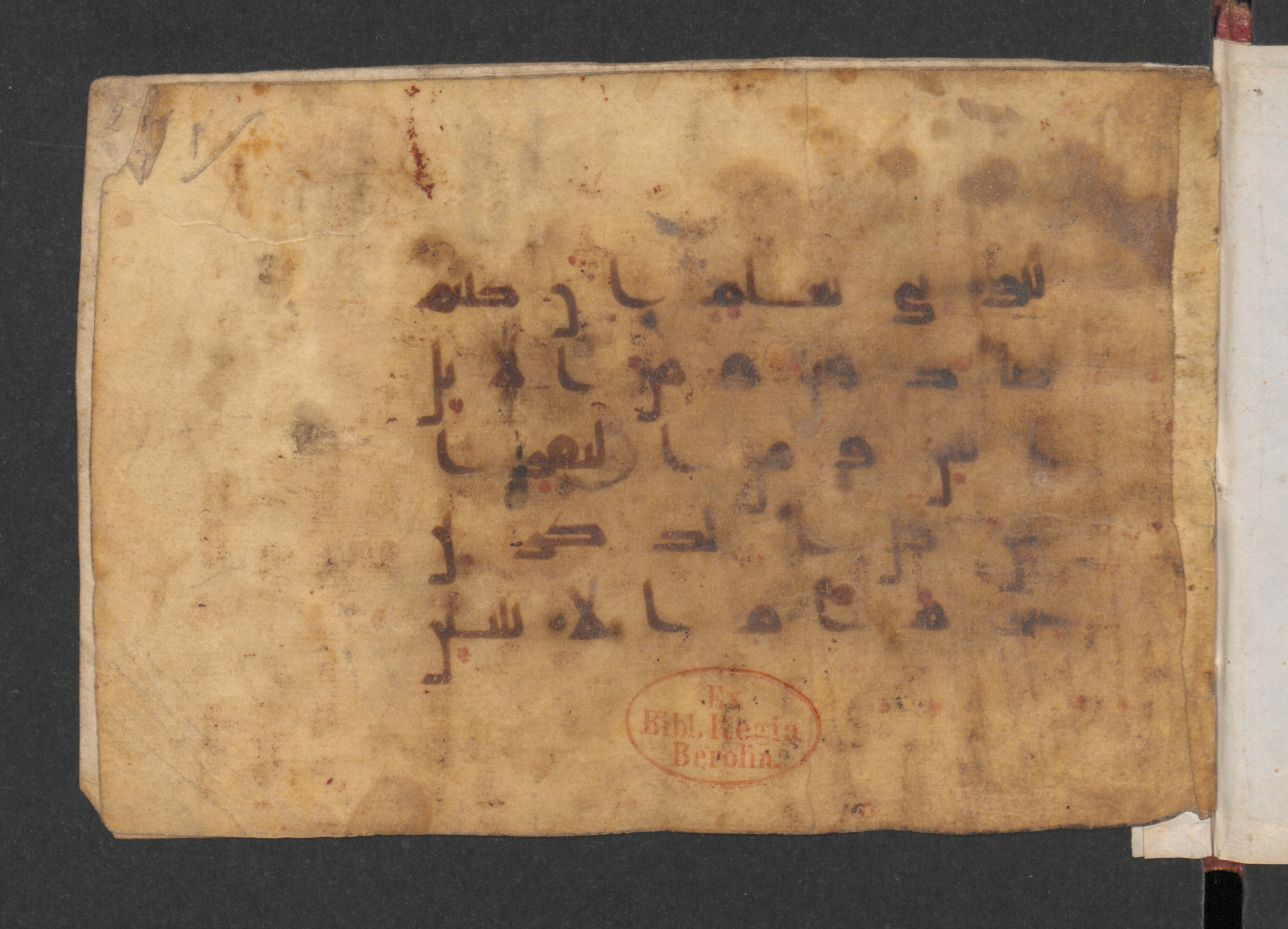 Berlin, Staatsbibliothek zu Berlin: Wetzstein II 1959 (Ahlwardt 319) (Scan 1), in kūfī D script, showing Surah 6:144 from Mid-8th to Late 9th Century AD found in Damascus, Syria, currently housed at Staatsbibliothek zu Berlin, Berlin, Germany